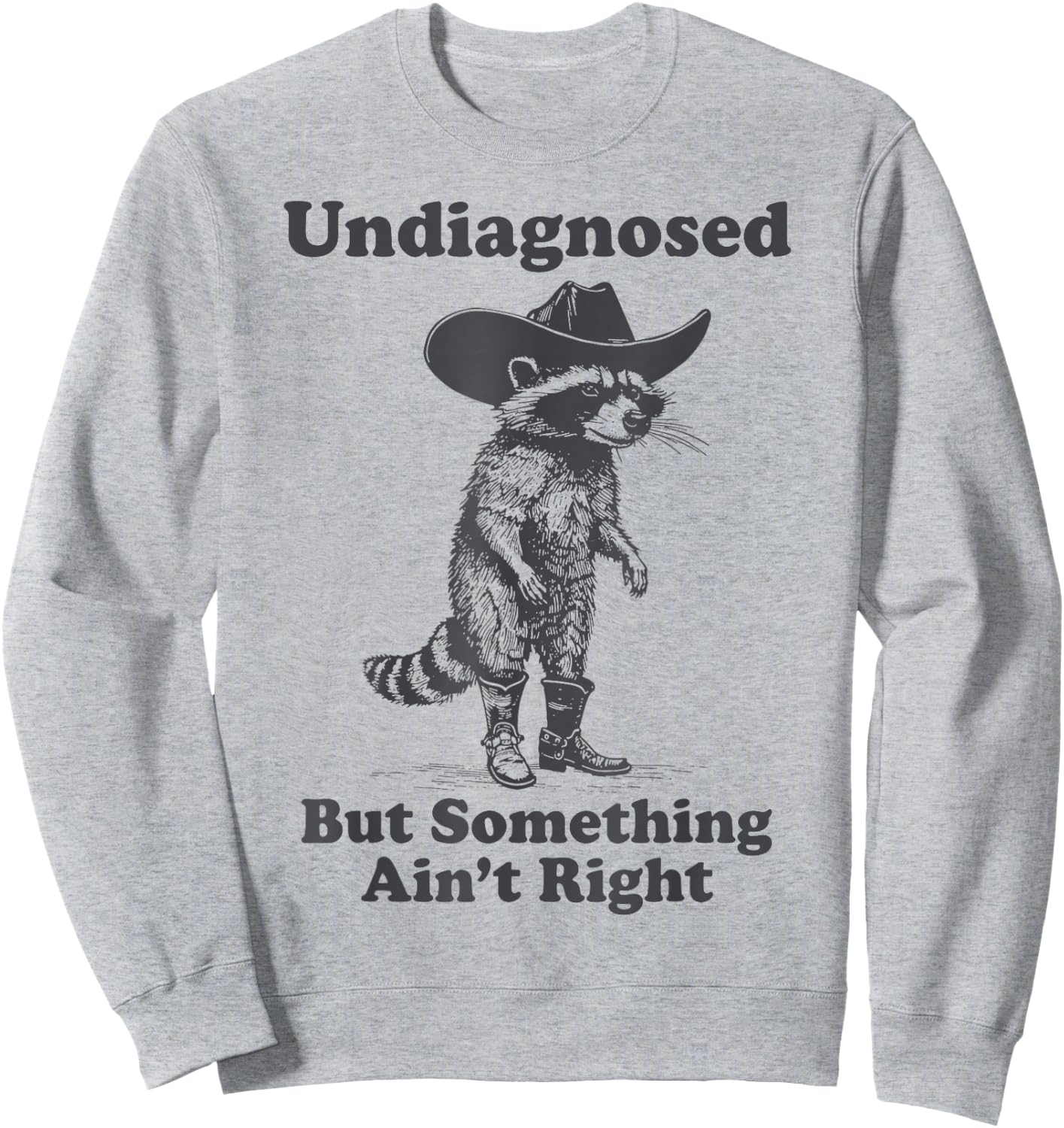 Undiagnosed But Something Ain't Right Raccoon Funny Saying Sweatshirt - Sweatshirt | Ash
