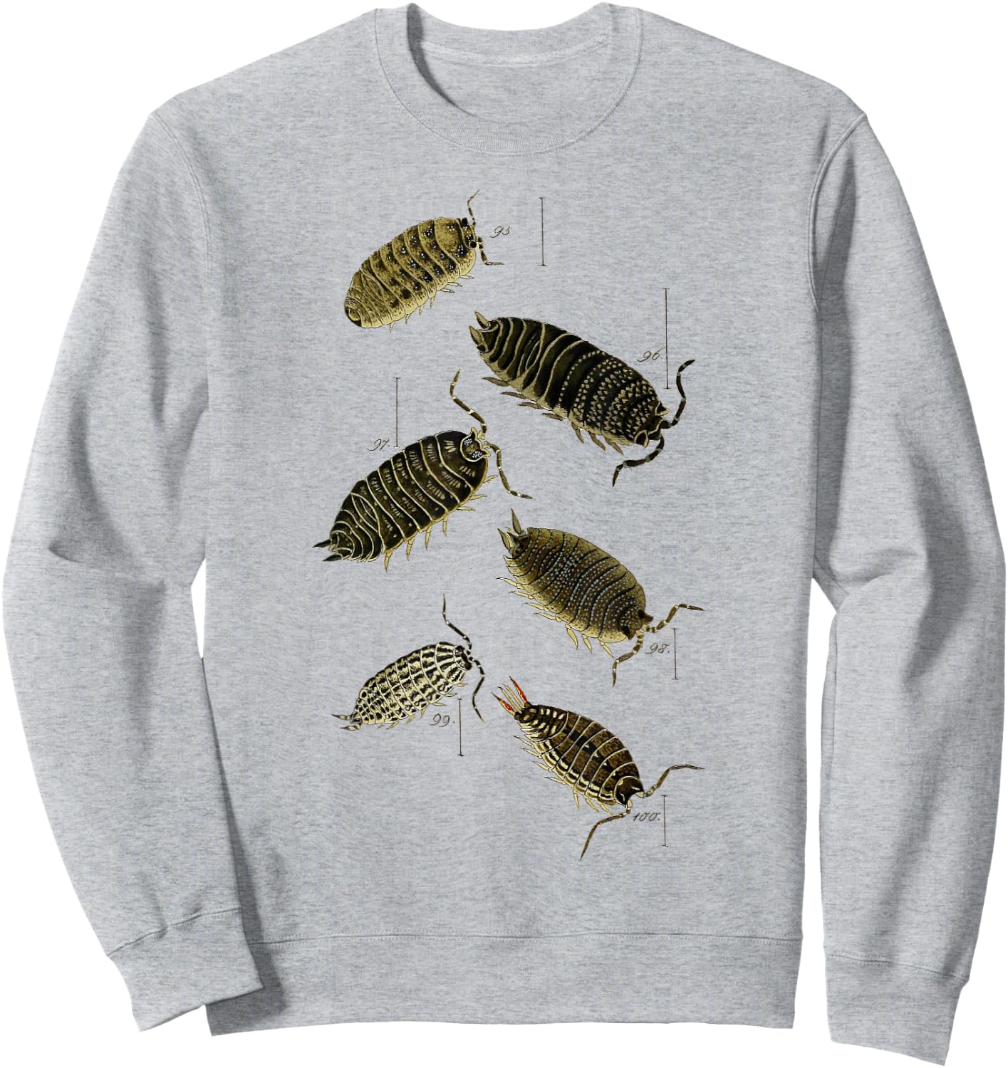 Pill Bug Porcellio scaber woodlice sowbugs Sweatshirt - Sweatshirt | Ash
