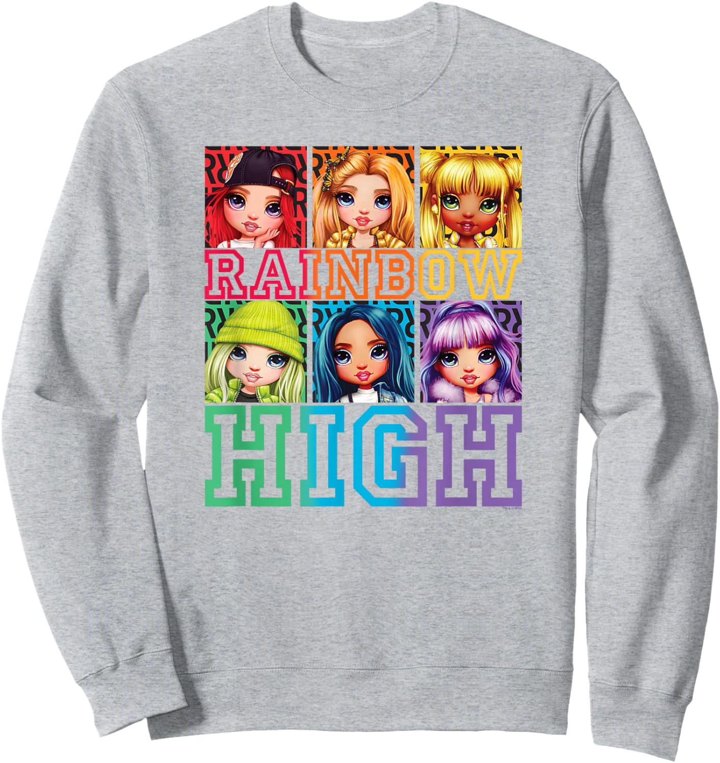 Rainbow High Group Box Up Poster Small Sweatshirt - Sweatshirt | Ash