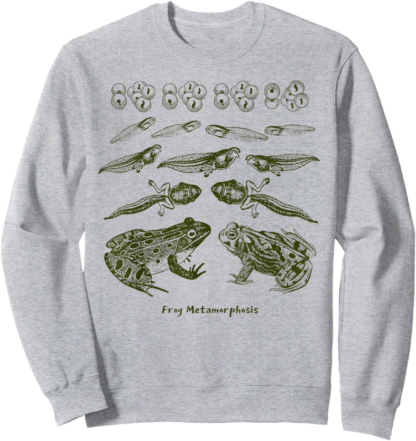 Frog Tadpole Life Cycle Metamorphosis Biology Science Sweatshirt - Sweatshirt | Ash
