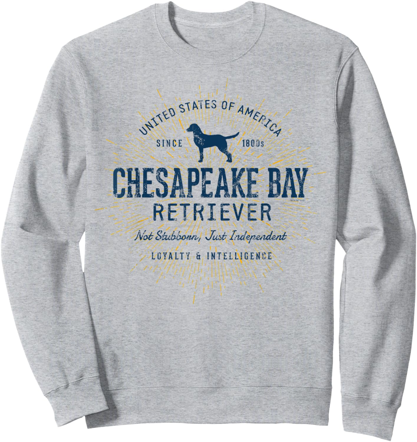 Chessie Dog Vintage Style Retro Chesapeake Bay Retriever Men Women Kids Sweatshirt - Sweatshirt | Ash
