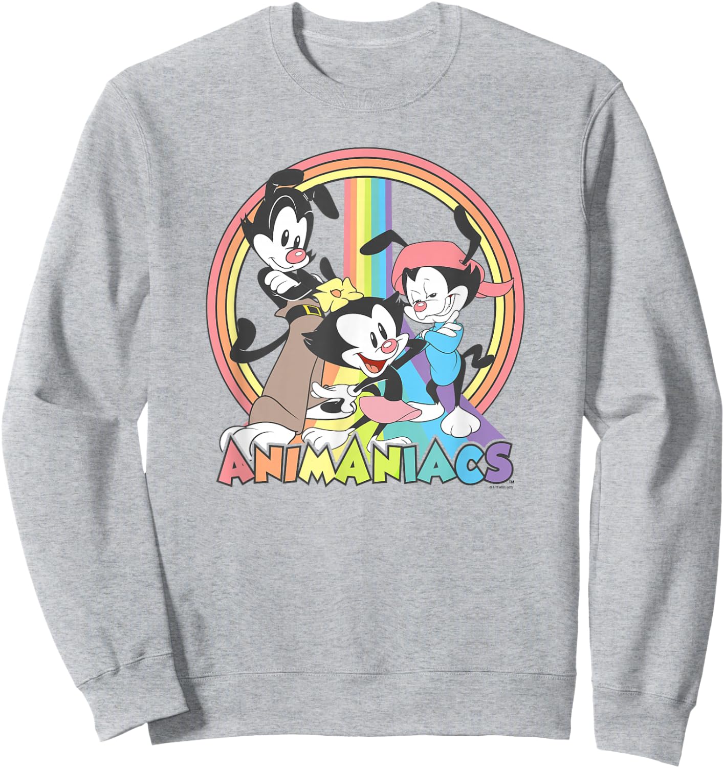 Animaniacs Rainbow Group Logo Sweatshirt - Sweatshirt | Ash
