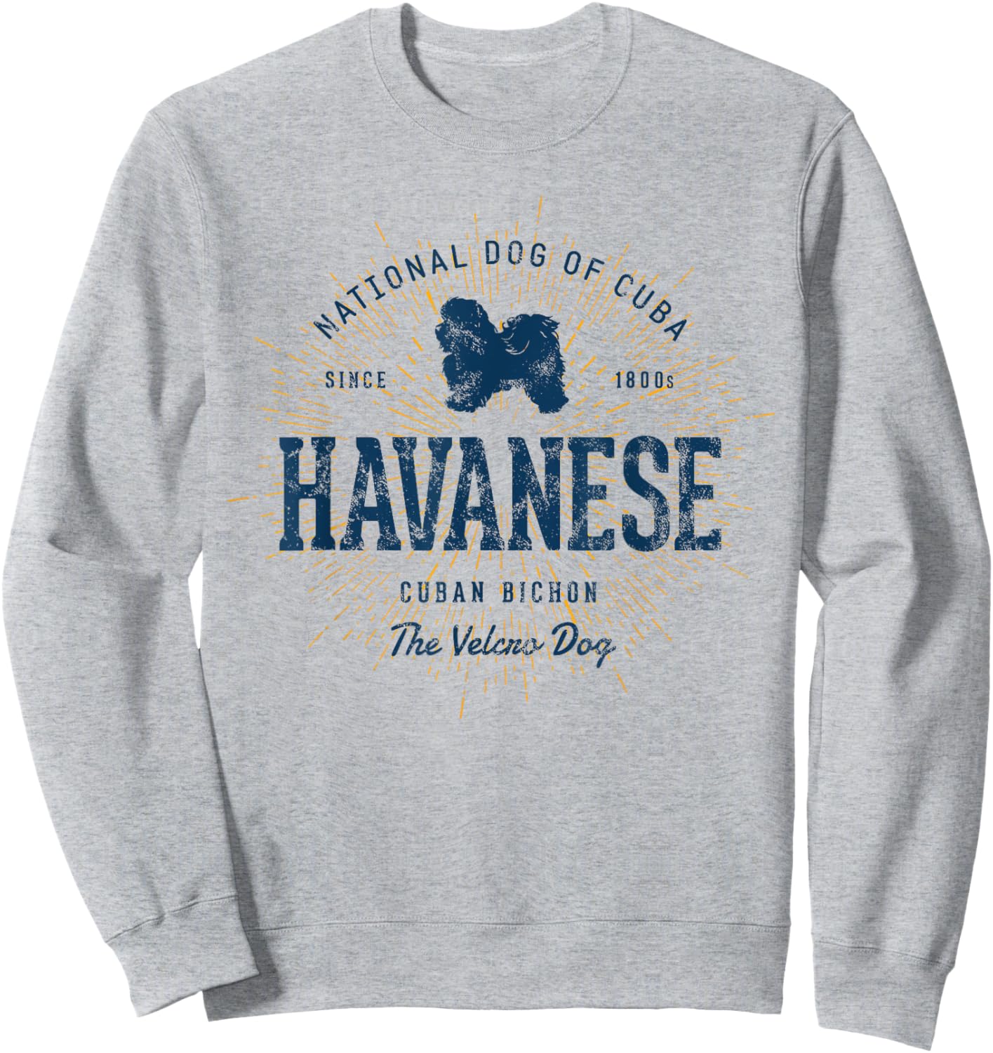 Retro Vintage Havanese Sweatshirt - Sweatshirt | Ash