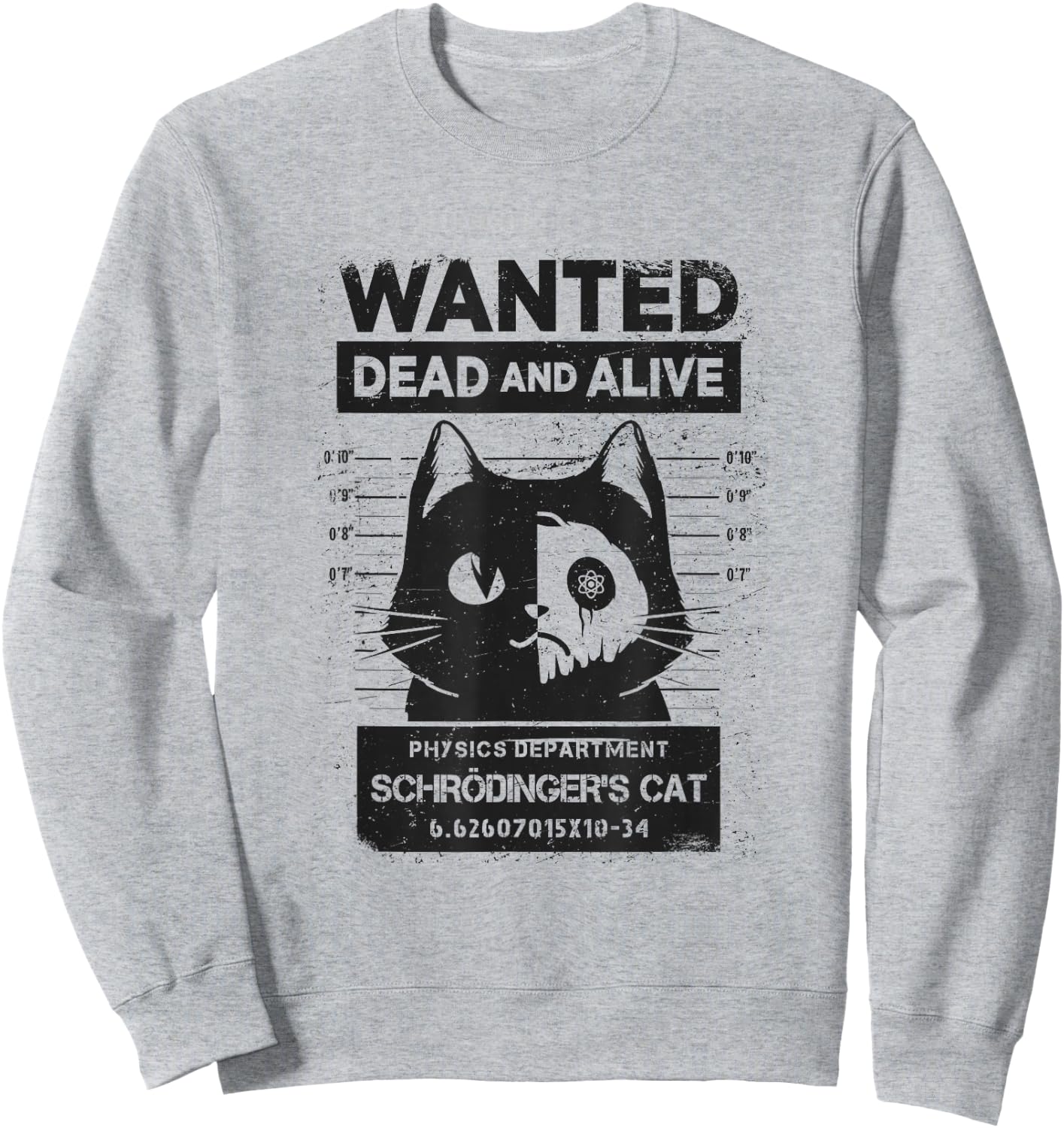 Schrödinger's Cat Wanted Dead And Alive Physics Physicist Sweatshirt - Sweatshirt | Ash
