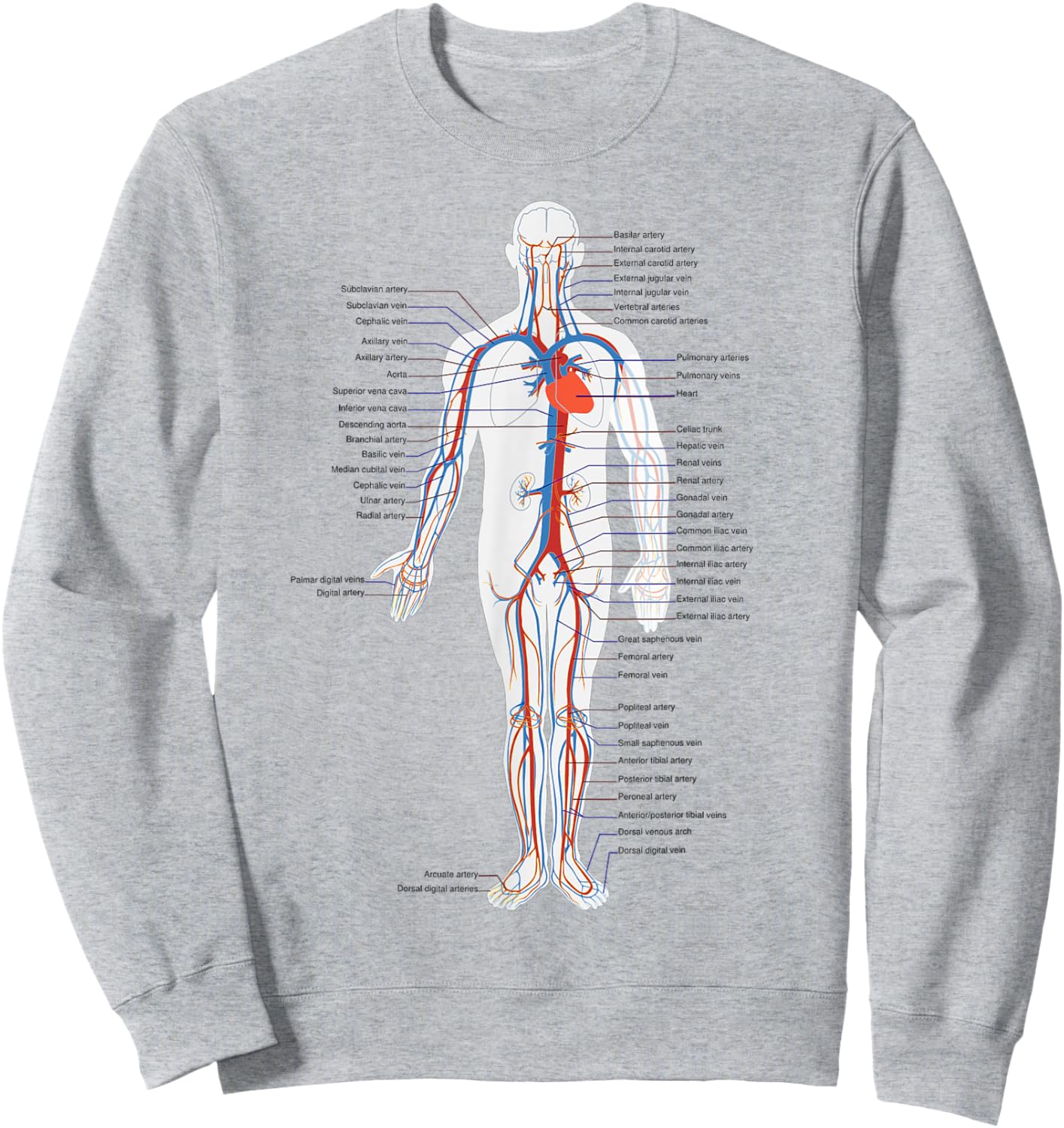 The Human Circulatory System Vascular System Anatomy Biology Sweatshirt - Sweatshirt | Ash
