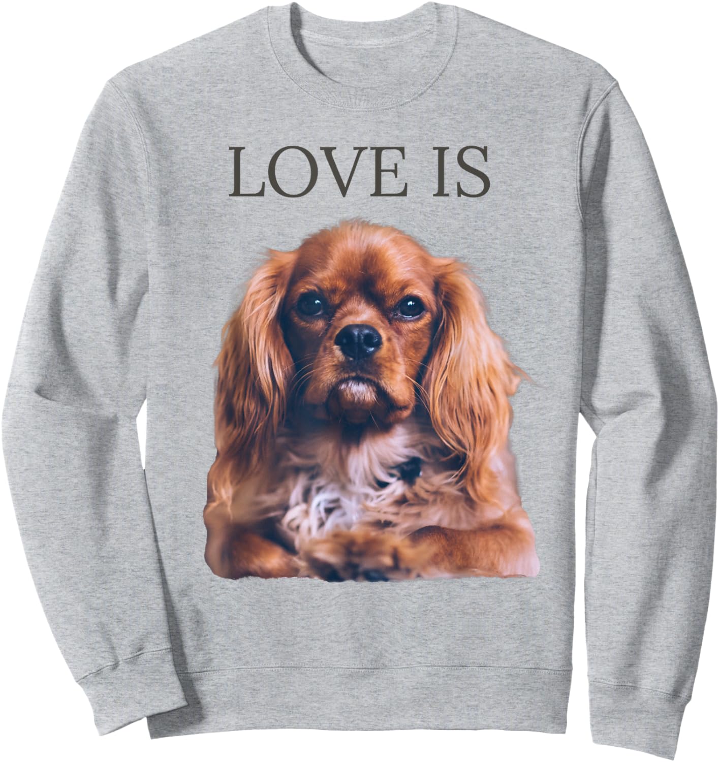 Cavalier King Charles Spaniel Shirt Men Women Dog Mom Dad Sweatshirt - Sweatshirt | Ash