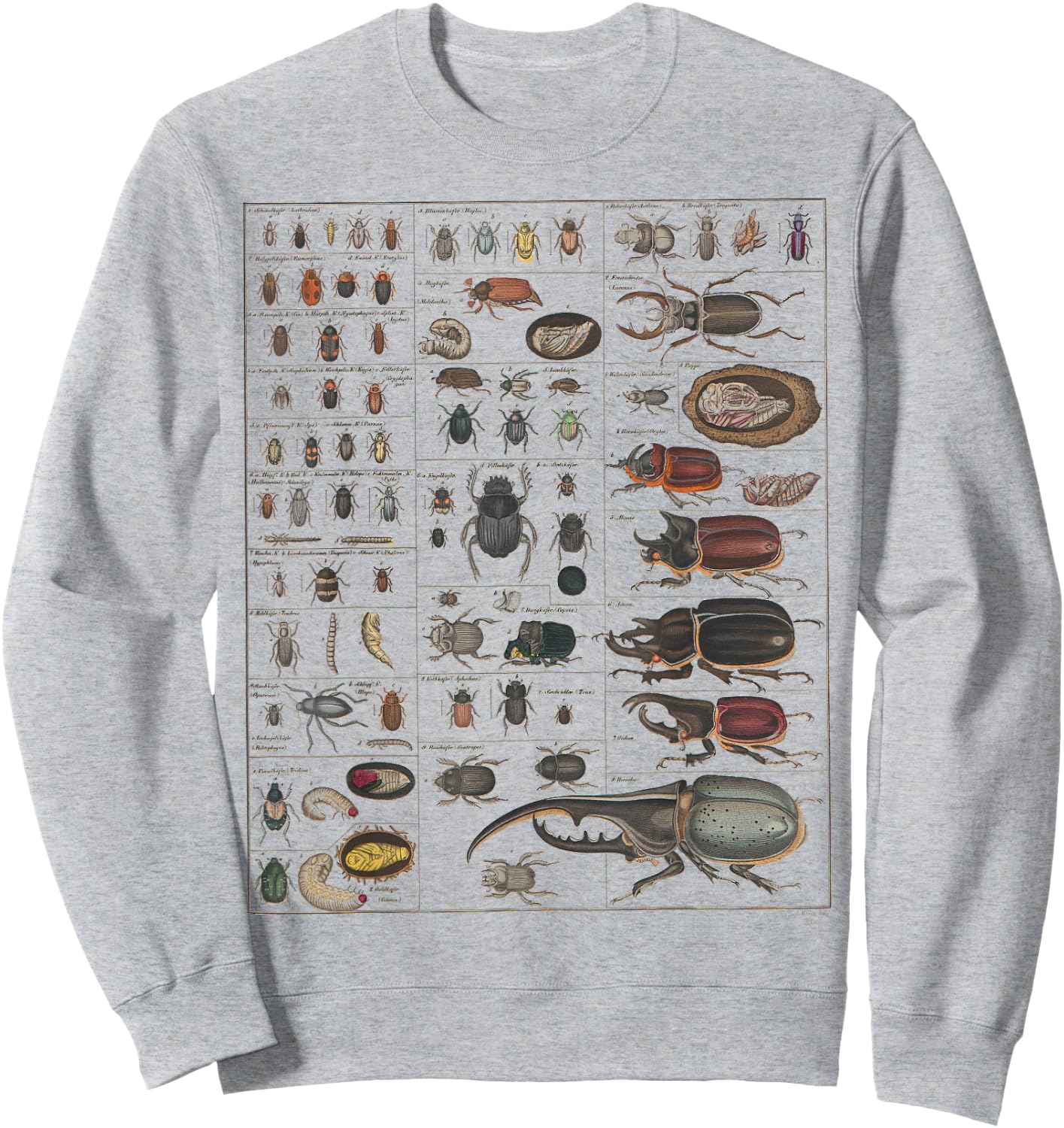 Insect Collection Species Bugs Vintage Chart Entomology Sweatshirt - Sweatshirt | Ash