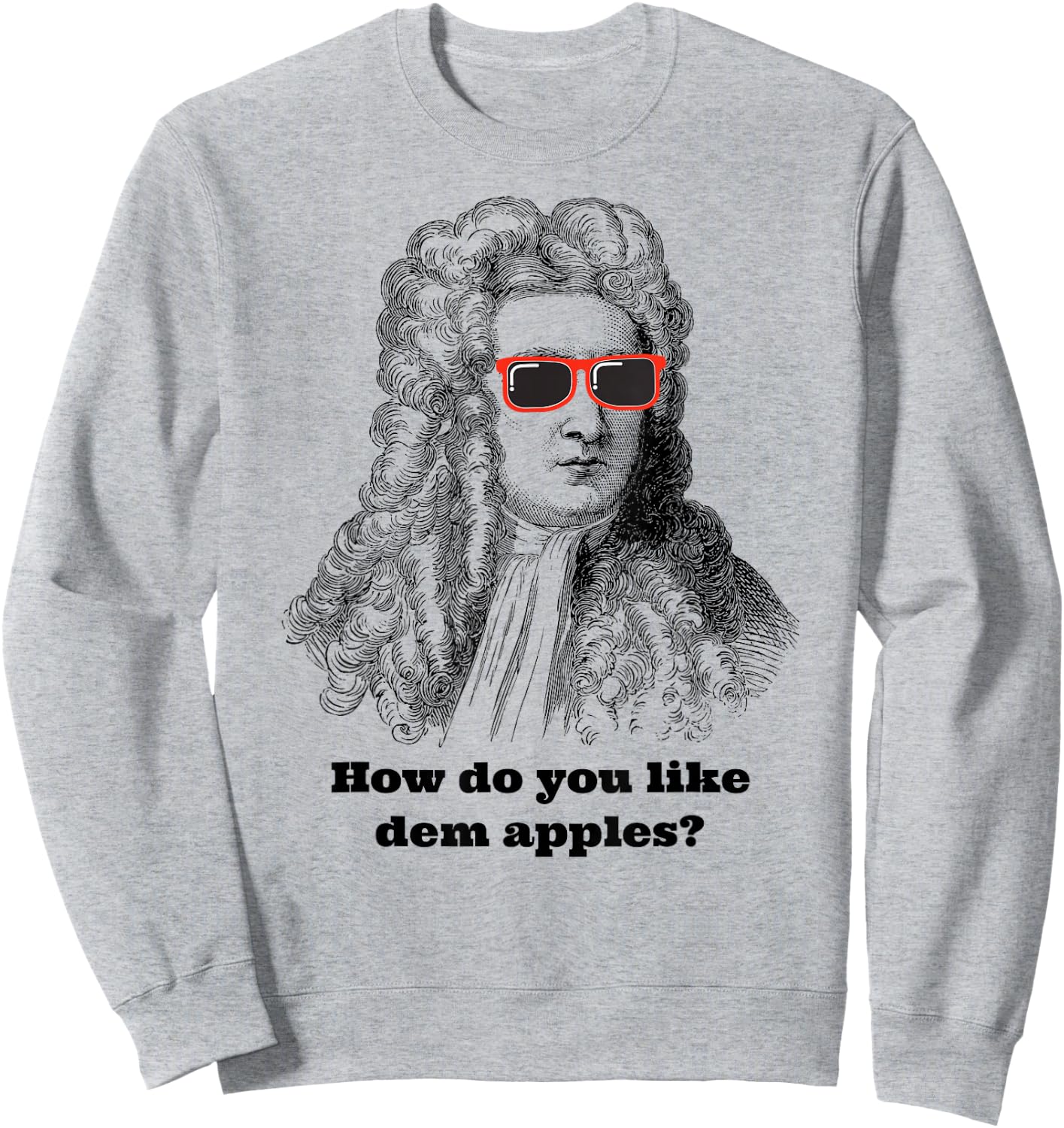 Sir Isaac Newton Funny Apple Gravity Sweatshirt - Sweatshirt | Ash