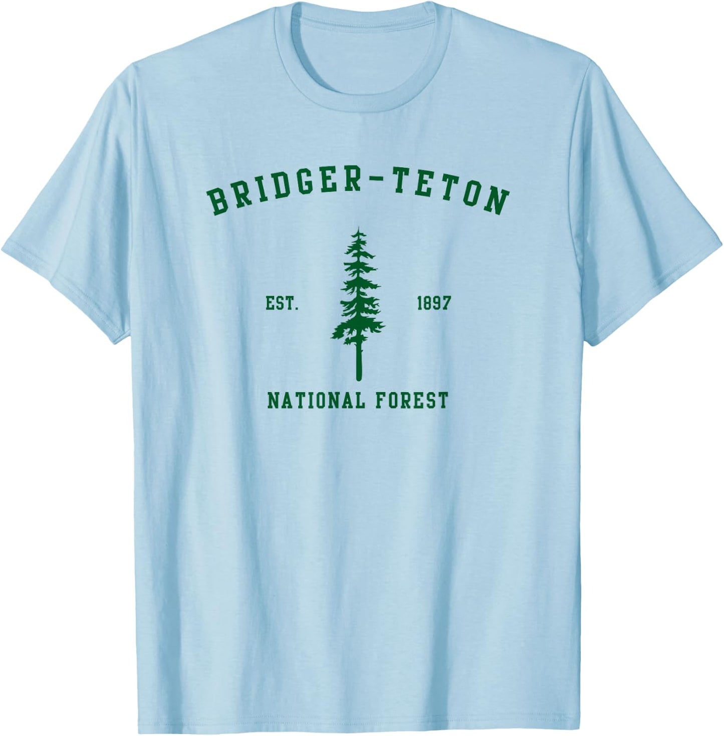 Bridger-Teton National Forest Explore Wyoming T-Shirt - T-Shirt | Light Blue