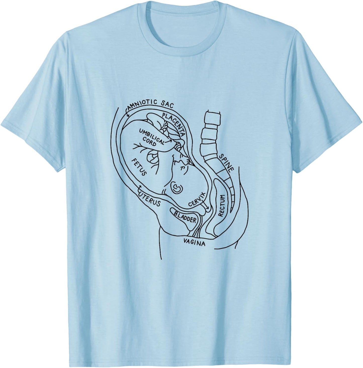 Pregnancy Anatomy Doula Midwife Mom Obstetrician OB GYN T-Shirt - T-Shirt | Light Blue