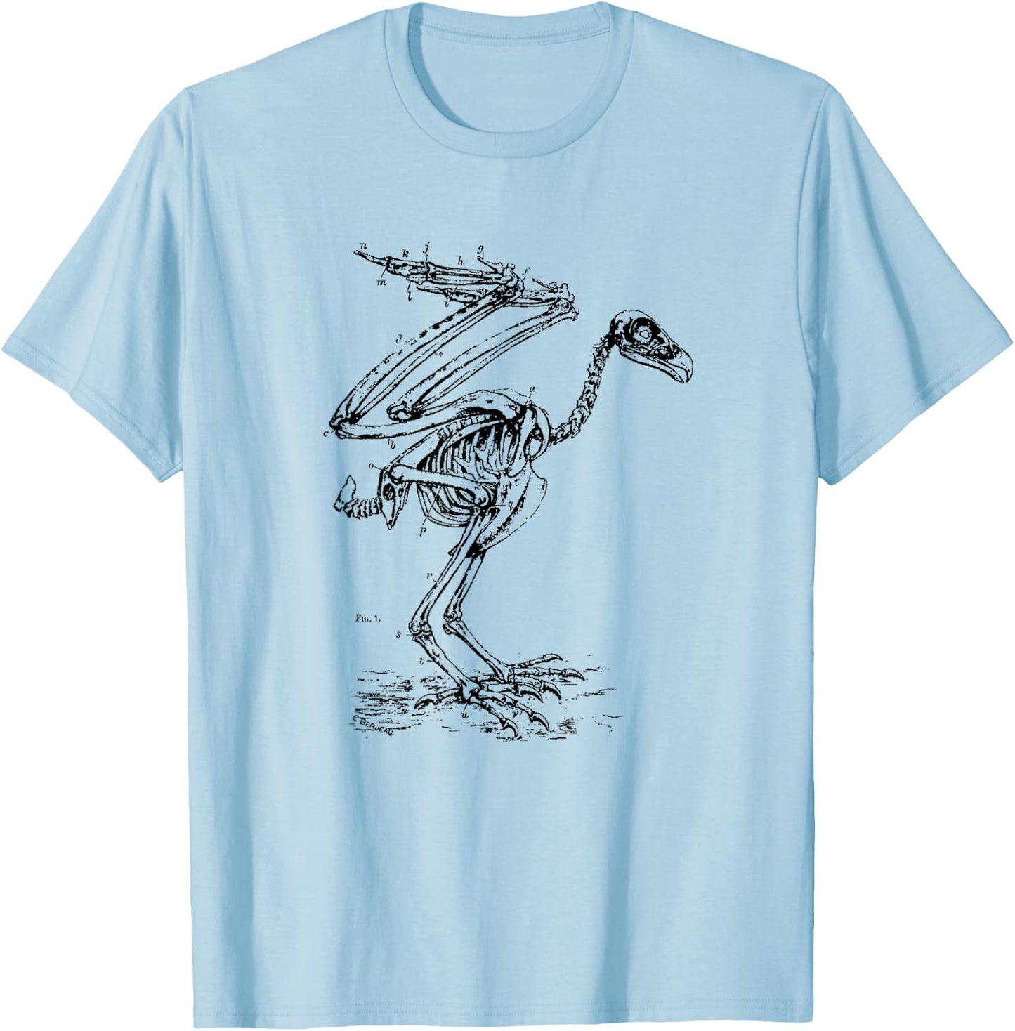 Vintage Eagle Skeleton - Scientific Diagram Bird Skull T-Shirt - T-Shirt | Light Blue
