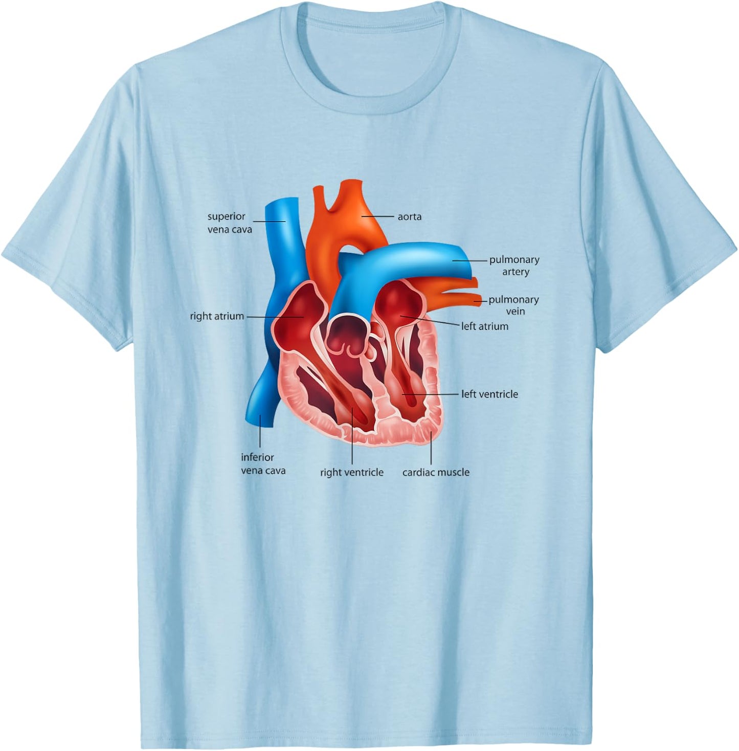 Funny Human Heart Anatomy Anatomical Heart T-Shirt - T-Shirt | Light Blue