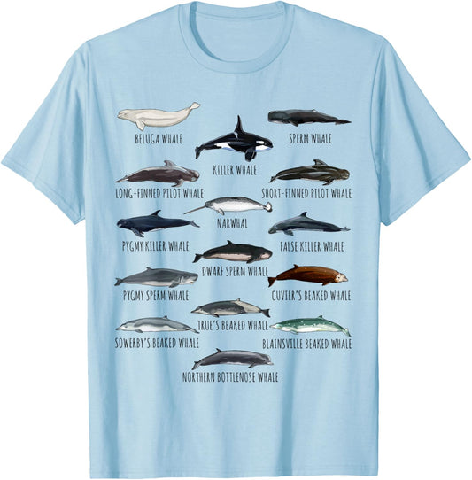 Whales Species Biology Different Types Of Whales T-Shirt - T-Shirt | Light Blue