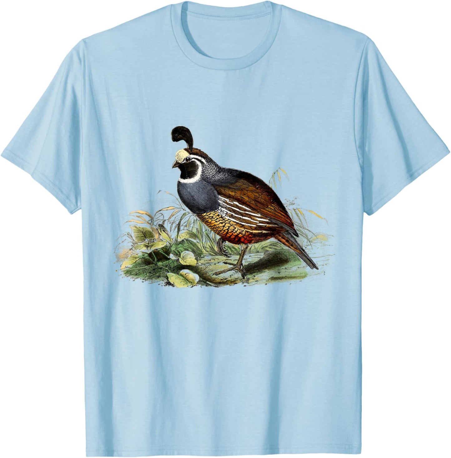 California Quail CA Quail Birder California Quail T-Shirt - T-Shirt | Light Blue