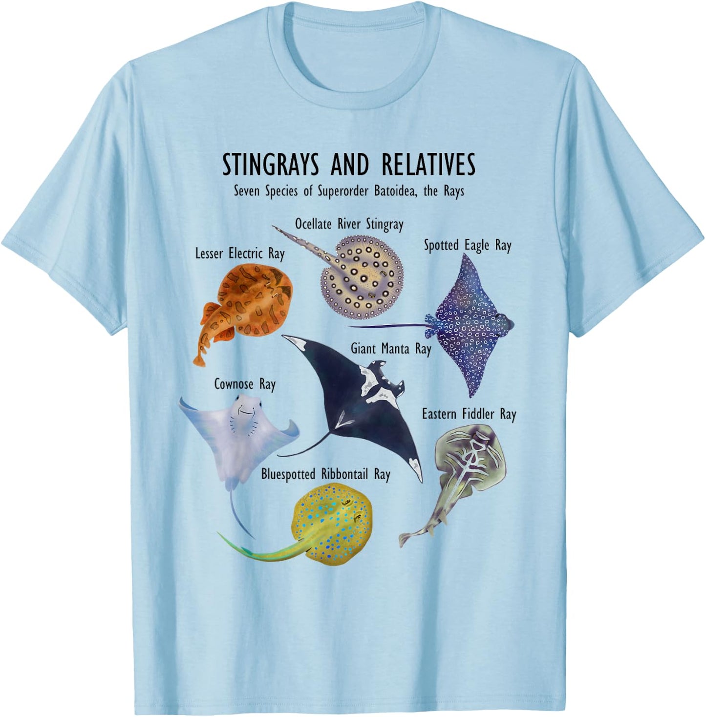 Stingray Species: Manta Ray, River Stingray, and More T-Shirt - T-Shirt | Light Blue