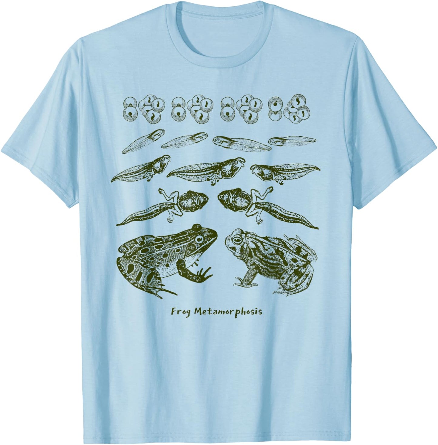 Frog Tadpole Life Cycle Metamorphosis Biology Science T-Shirt - T-Shirt | Light Blue