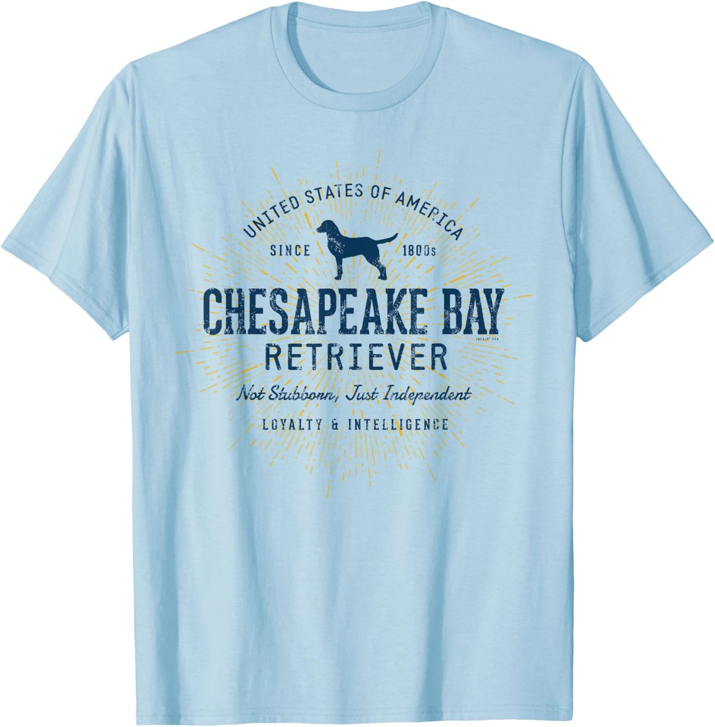Chessie Dog Vintage Style Retro Chesapeake Bay Retriever Men Women Kids T-Shirt - T-Shirt | Light Blue