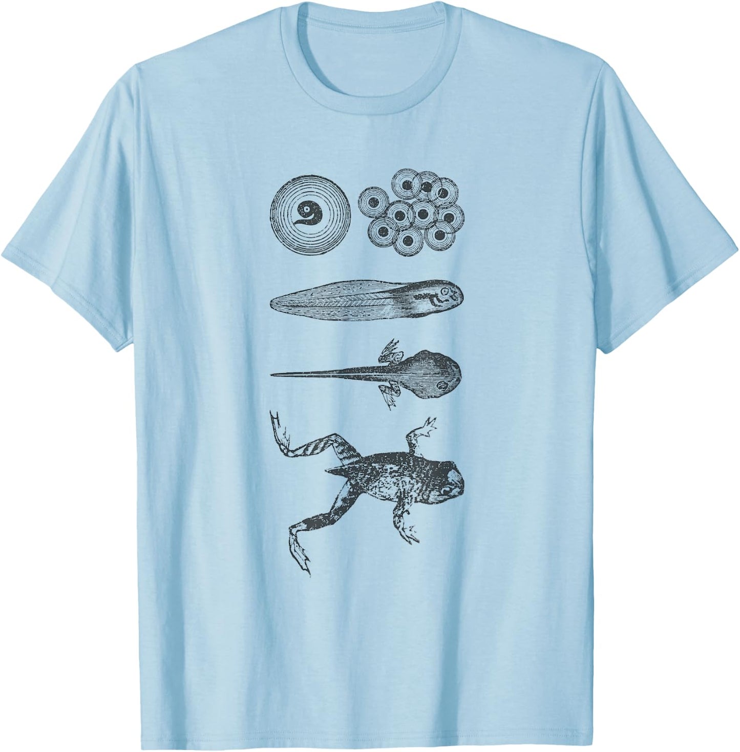 Frog Tadpole Metamorphosis Life Cycle Biology T-Shirt - T-Shirt | Light Blue