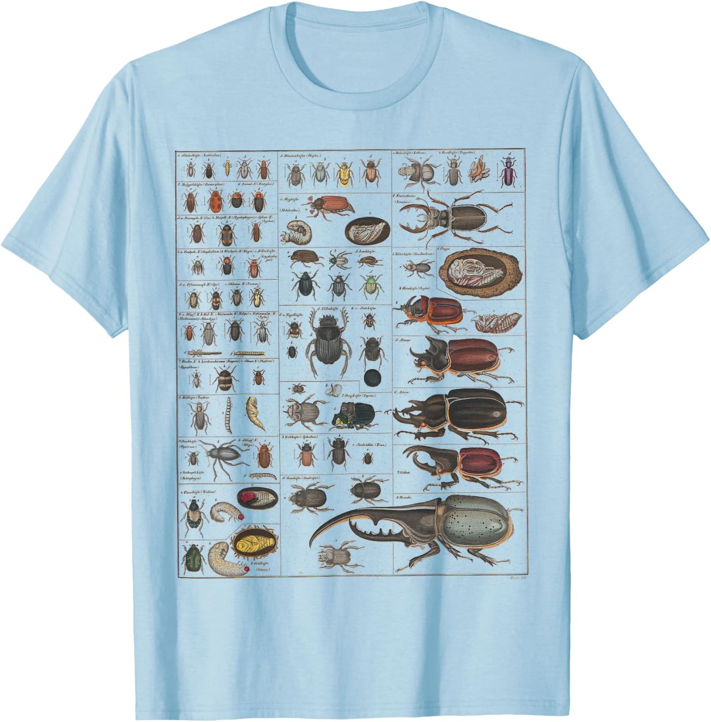 Insect Collection Species Bugs Vintage Chart Entomology T-Shirt - T-Shirt | Light Blue