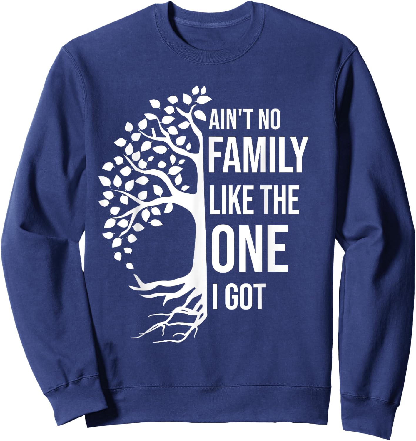 Ain't No Family Like The One I Got Funny Family Reunion 2025 Sweatshirt - Sweatshirt | Navy