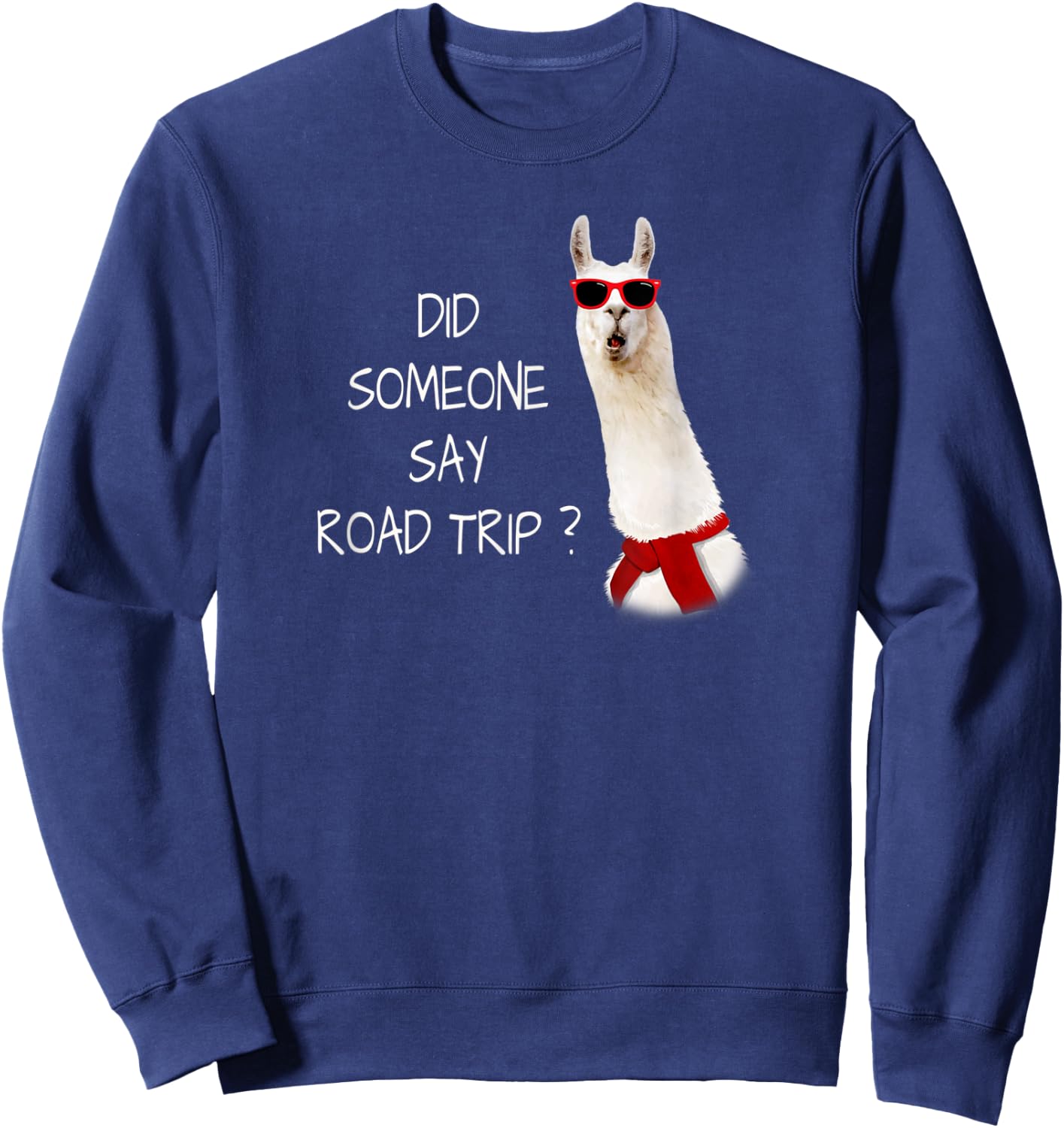 DID SOMEONE SAY ROAD TRIP? Funny Mini Vacation Sweatshirt - Sweatshirt | Navy