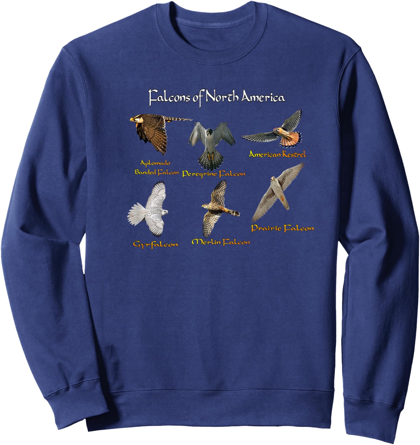 Types of Falcons Sweatshirt - Sweatshirt | Navy