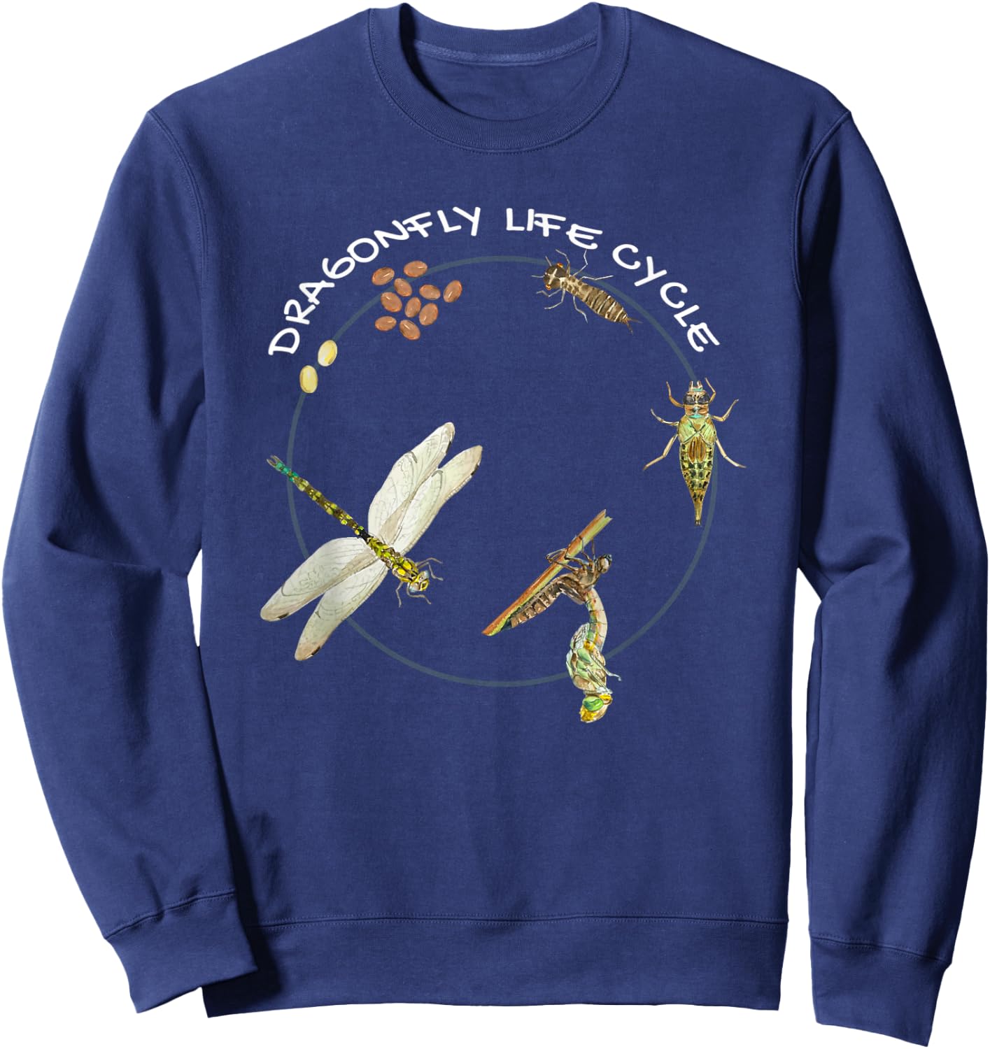 Dragonfly Life Cycle Facts 3 Stages Insect Development Sweatshirt - Sweatshirt | Navy