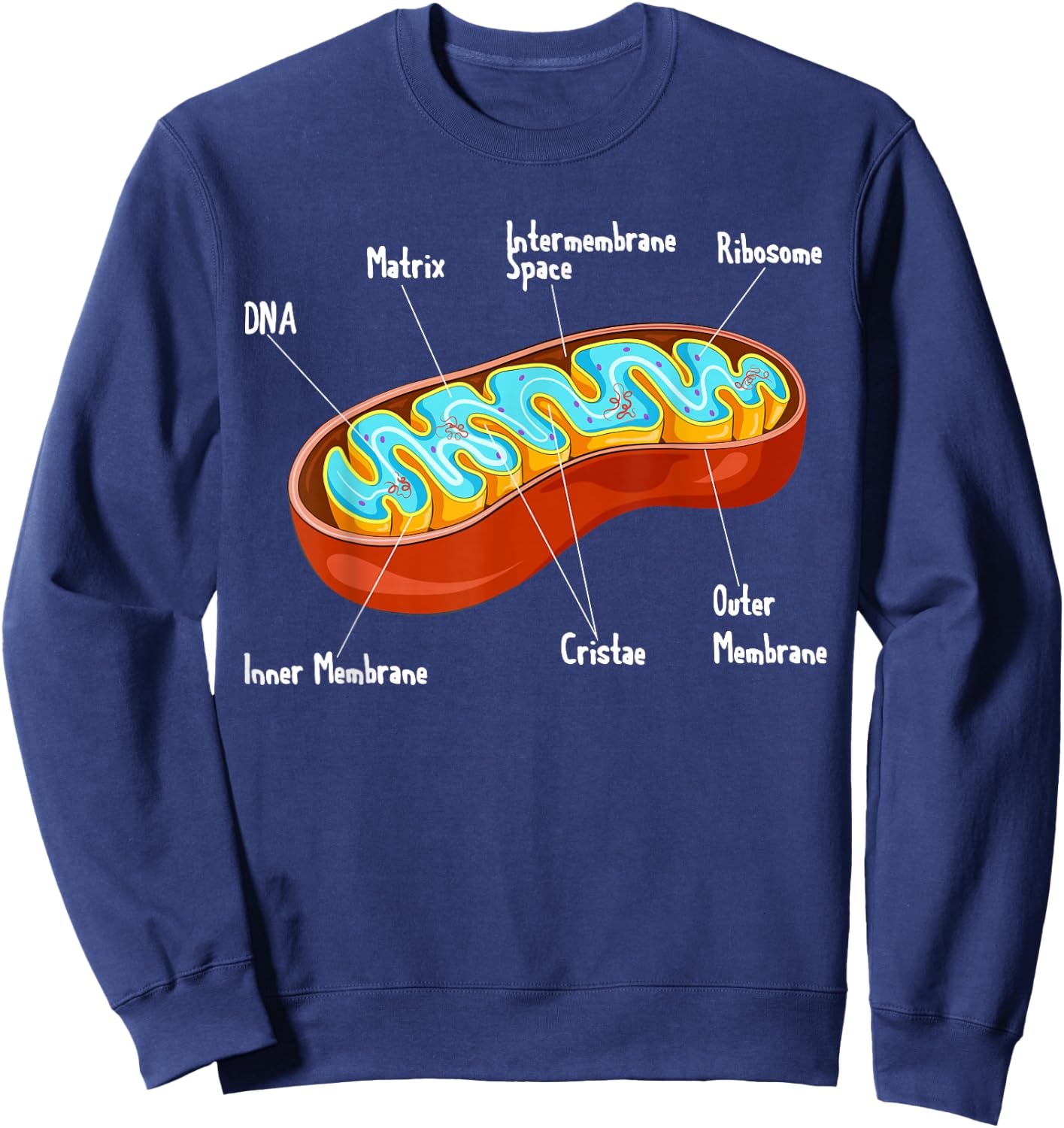 Mitochondria Cell Biology Biologist Science Teacher Student Sweatshirt - Sweatshirt | Navy