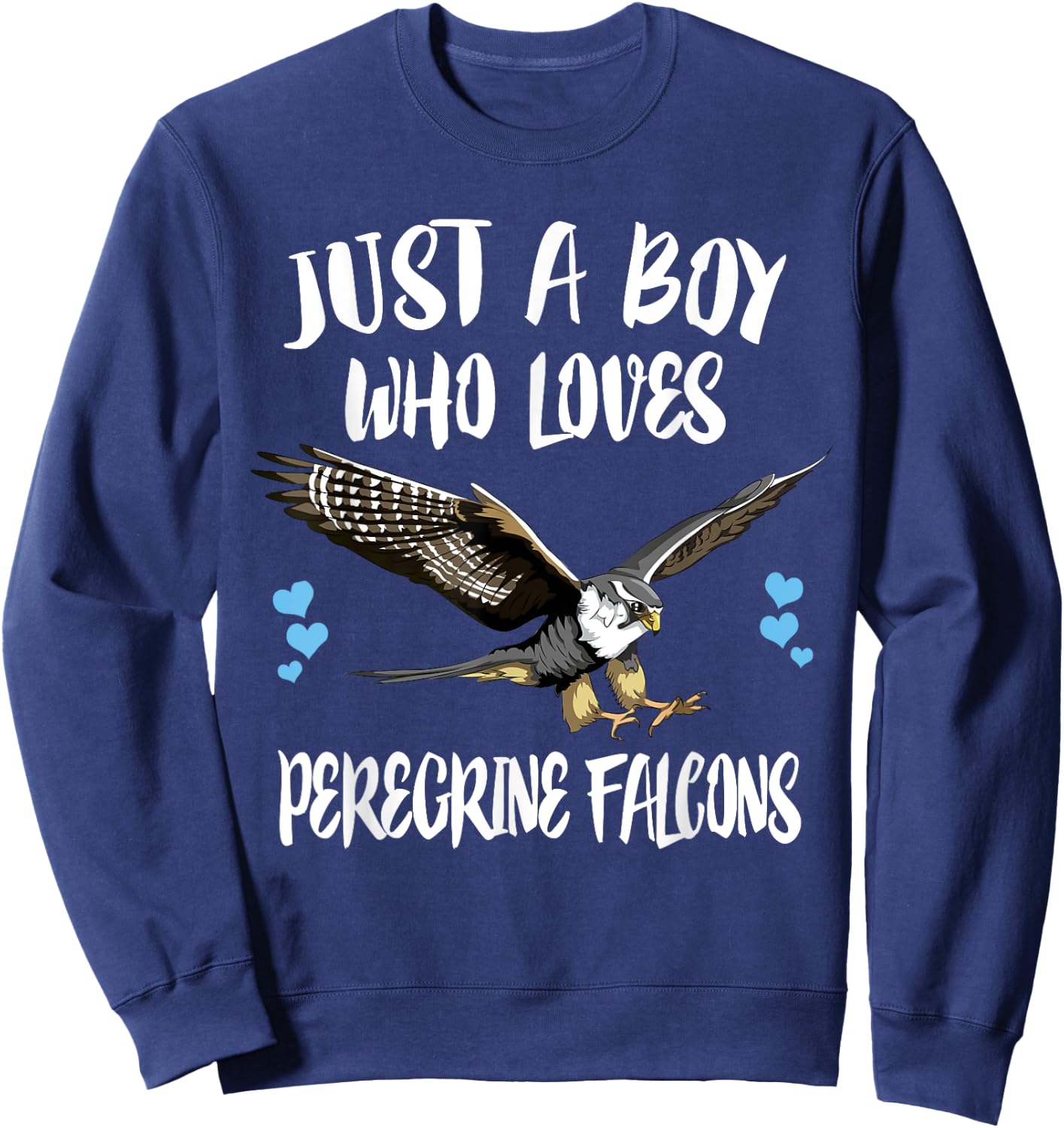 Just A Boy Who Loves Peregrine Falcons Birds Sweatshirt - Sweatshirt | Navy