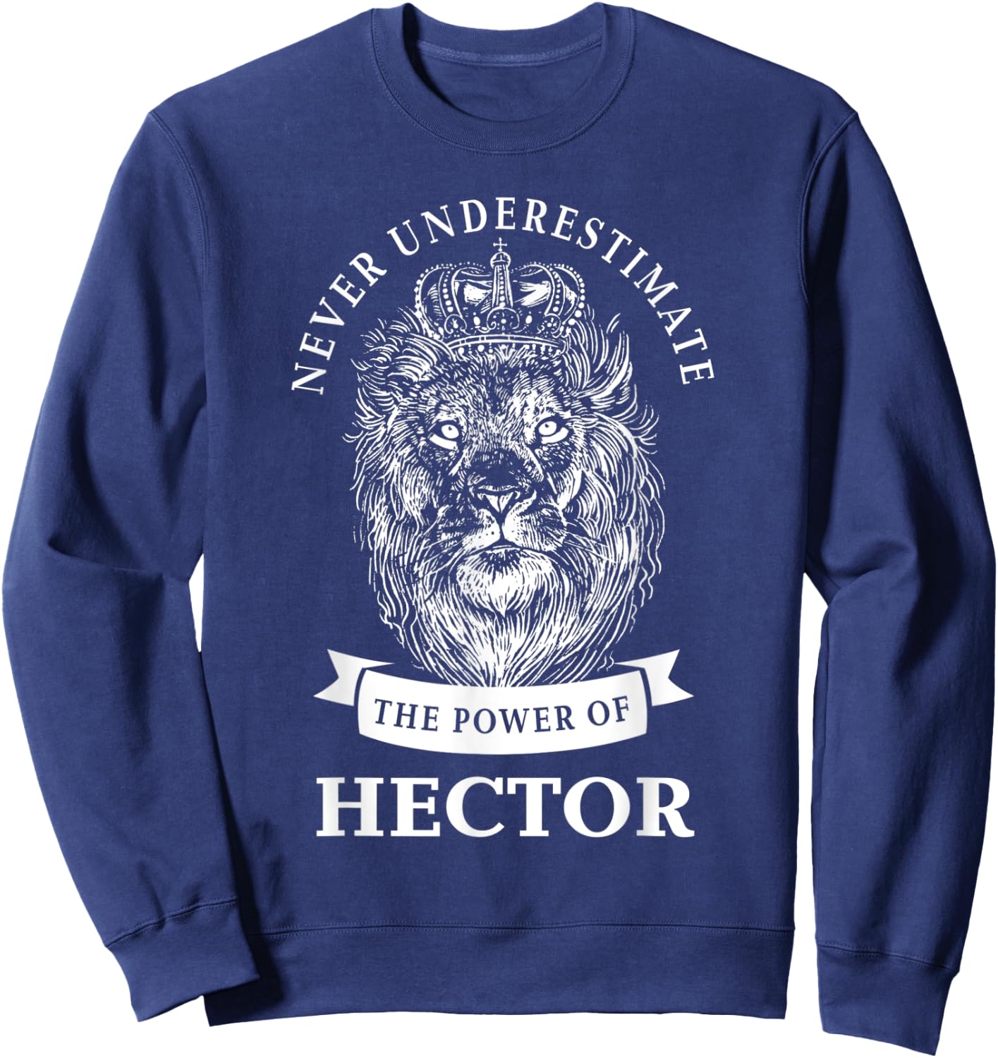 Hector Gift Name Lion Sweatshirt - Sweatshirt | Navy
