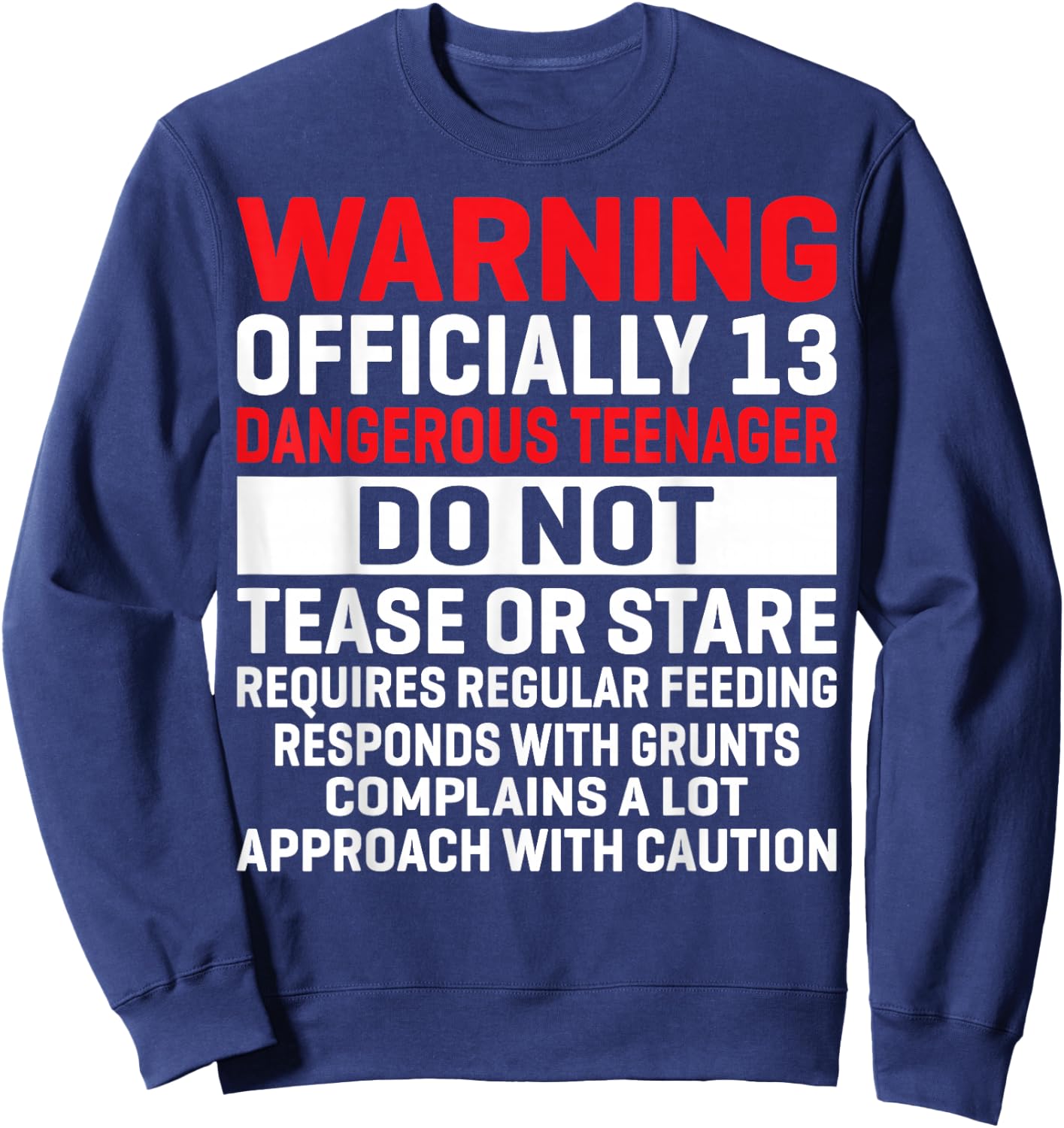 Warning Officially 13 Dangerous Teenagers 13th Birthday Sweatshirt - Sweatshirt | Navy