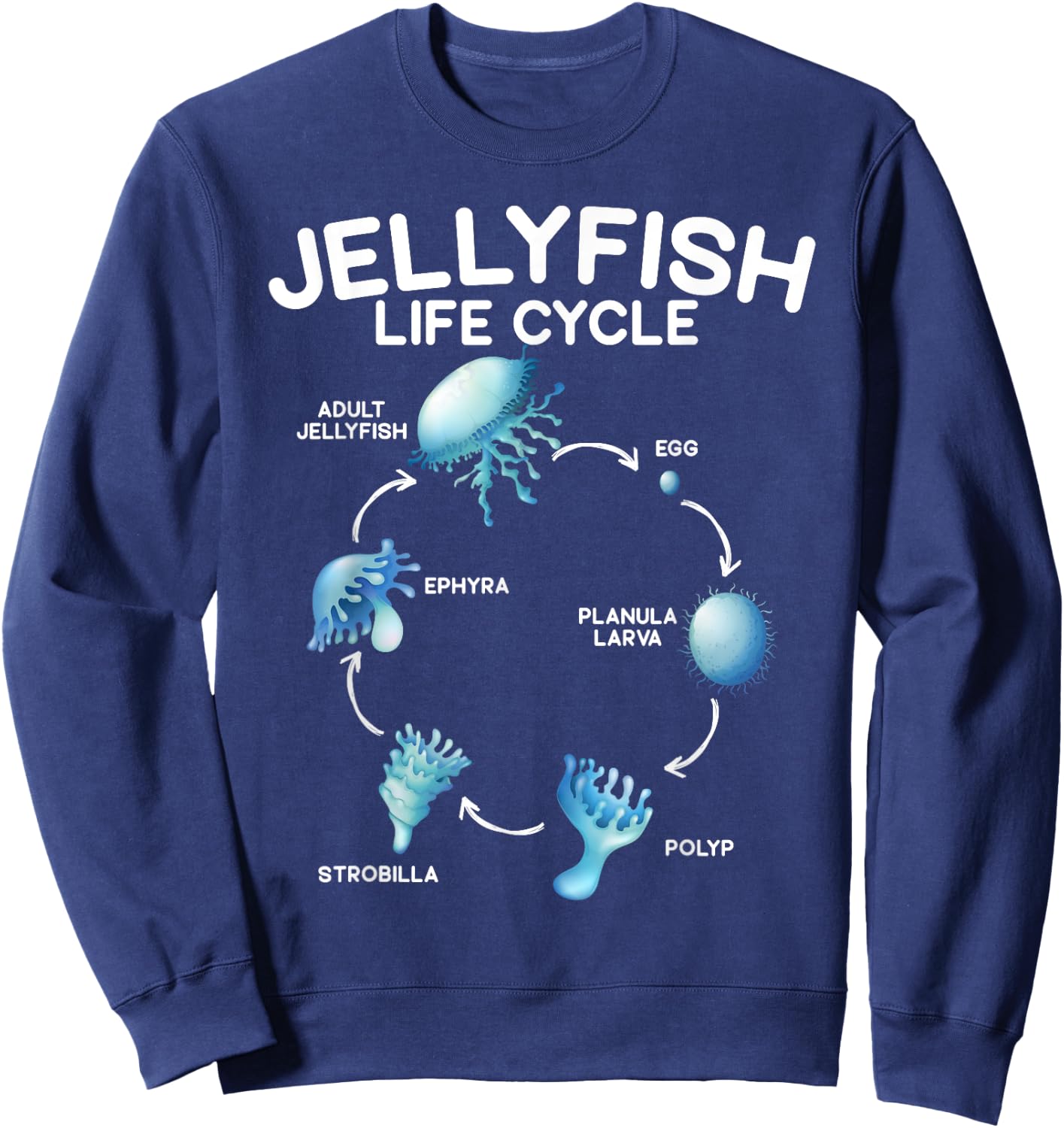 Jellyfish Life Cycle Animal Lover Jellyfish Season Sweatshirt - Sweatshirt | Navy