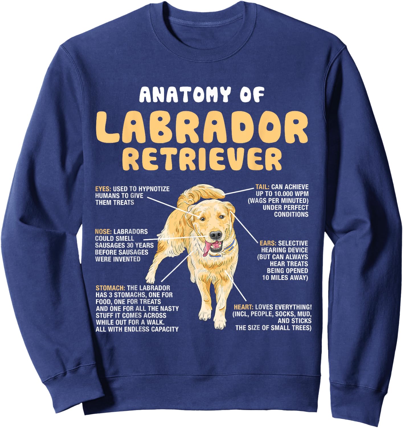 Anatomy Of Labrador Retriever Lovers Funny Lab Owners Sweatshirt - Sweatshirt | Navy