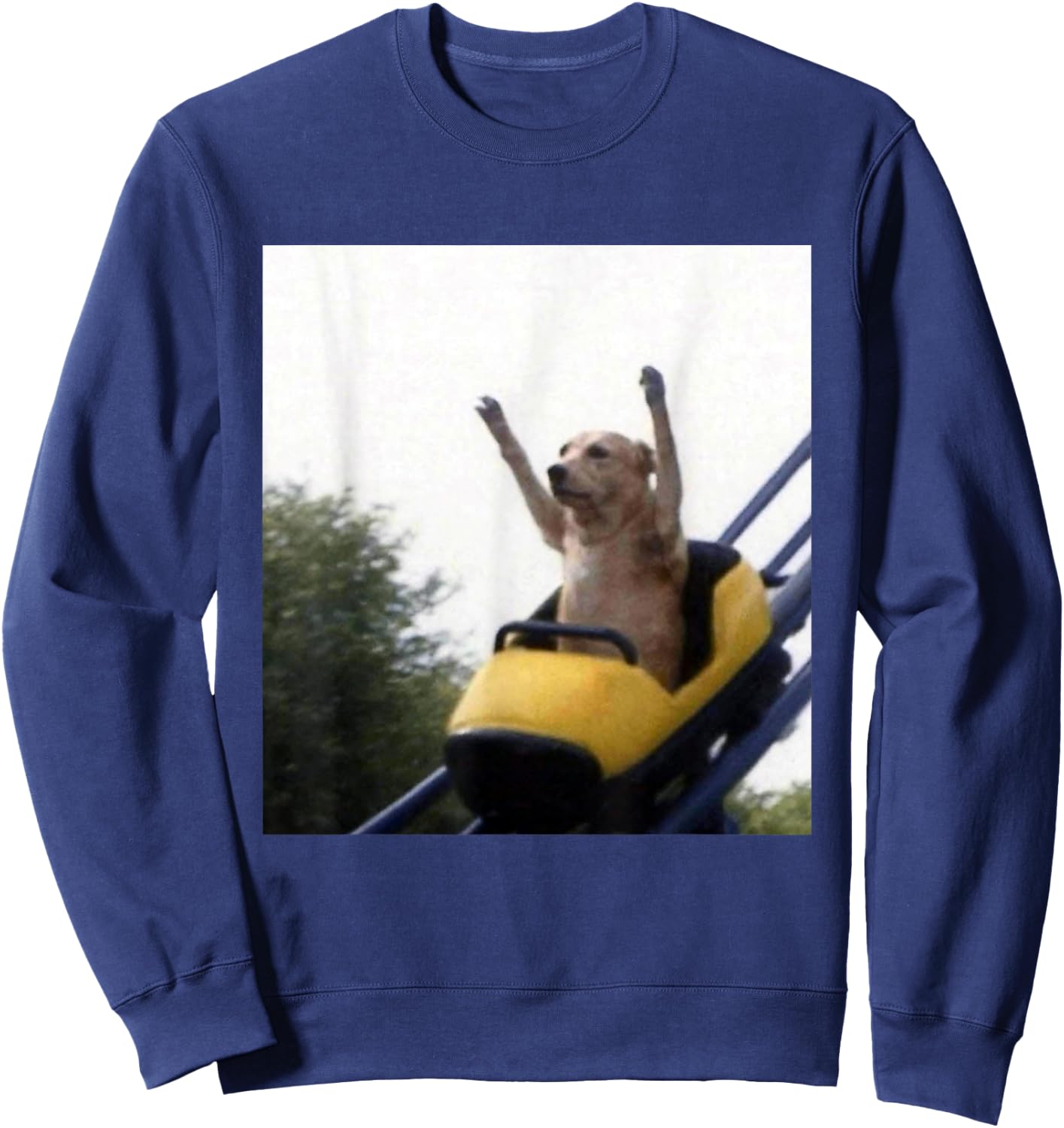 Labrador Dog Roller Coaster Funny Meme Sweatshirt - Sweatshirt | Navy