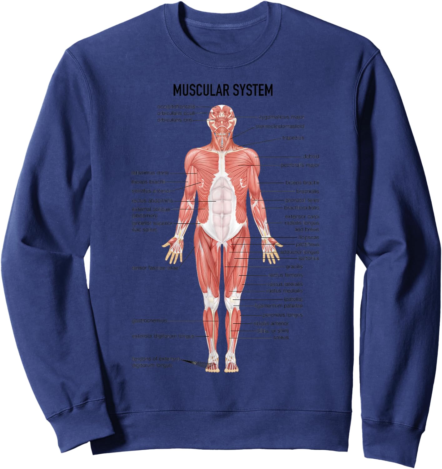 Muscular System Nurse Doctor Funny Med Medical Jokes Humor Sweatshirt - Sweatshirt | Navy