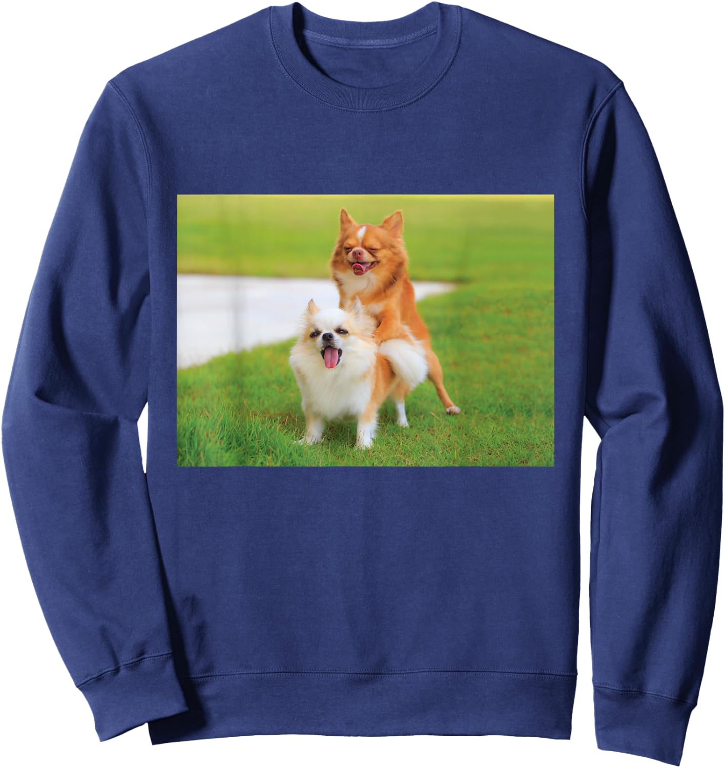 Fun Two Dogs Humping Chihuahua Pet Owner Humor Dog Lover Sweatshirt - Sweatshirt | Navy
