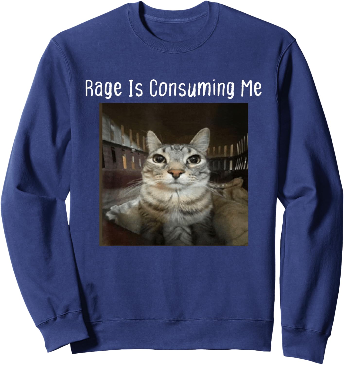 Rage Is Consuming Me Silly Staring Cat Meme Sweatshirt - Sweatshirt | Navy