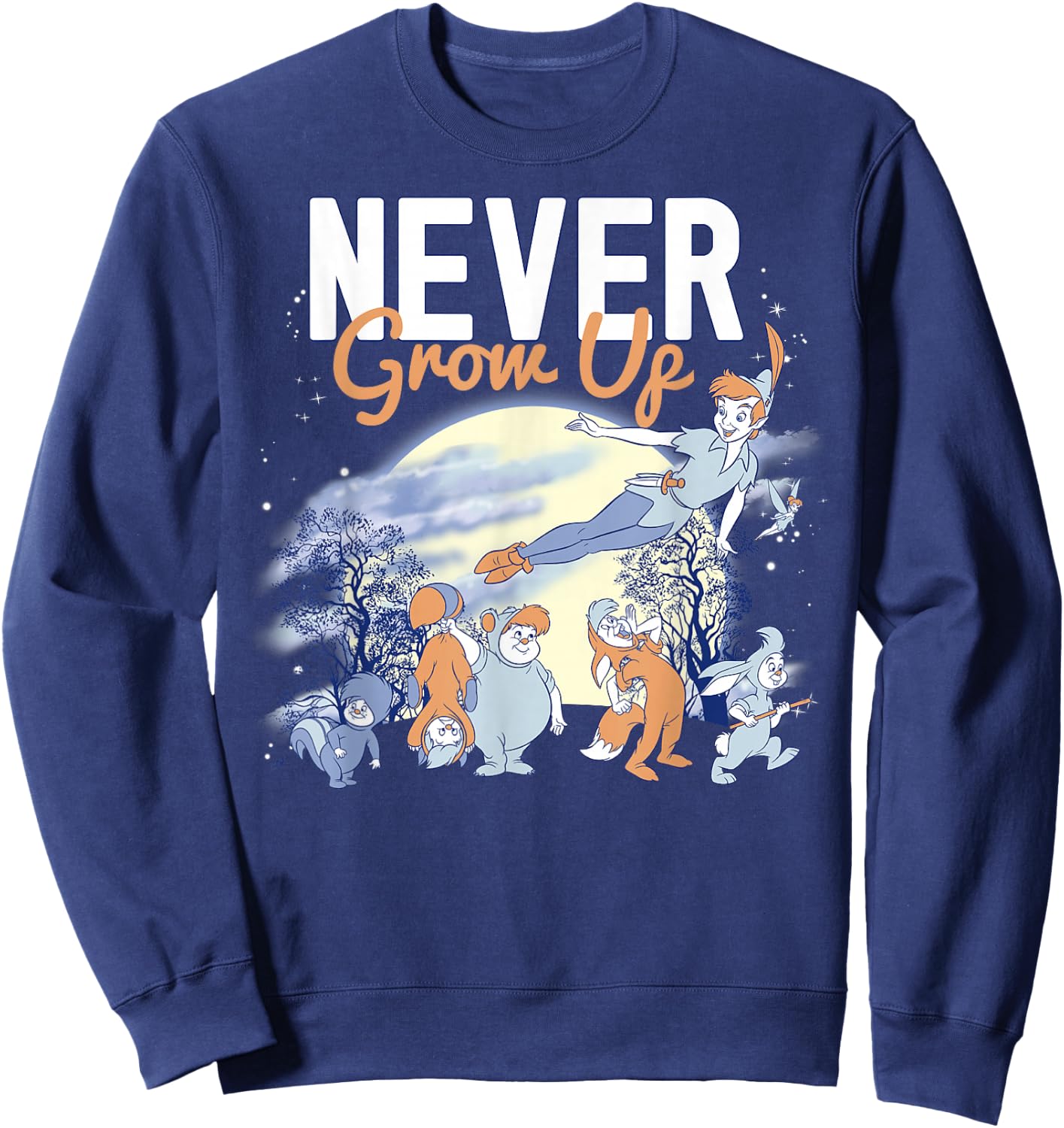 Disney Peter Pan Lost Boys Never Grow Up Night Portrait Sweatshirt - Sweatshirt | Navy
