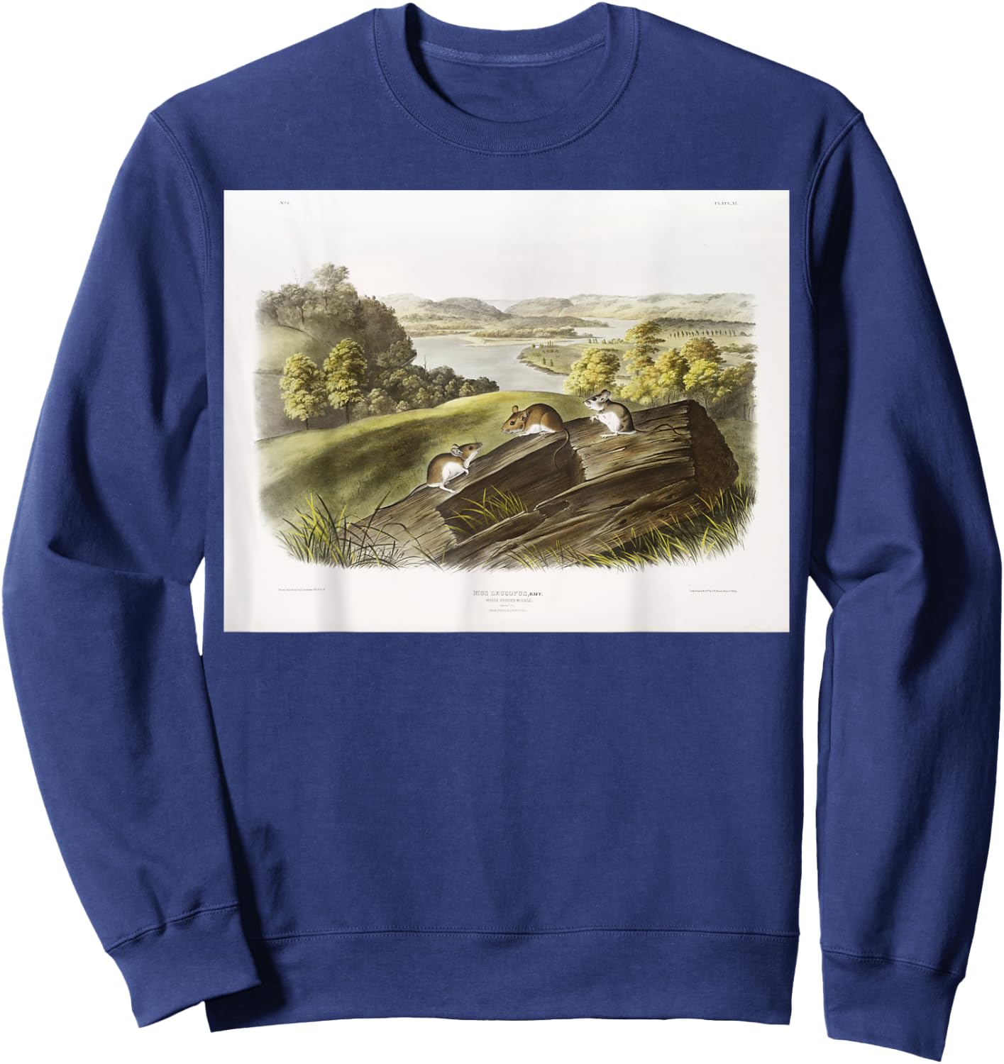 White-footed Mouse Animal Illustration & Women Sweatshirt - Sweatshirt | Navy