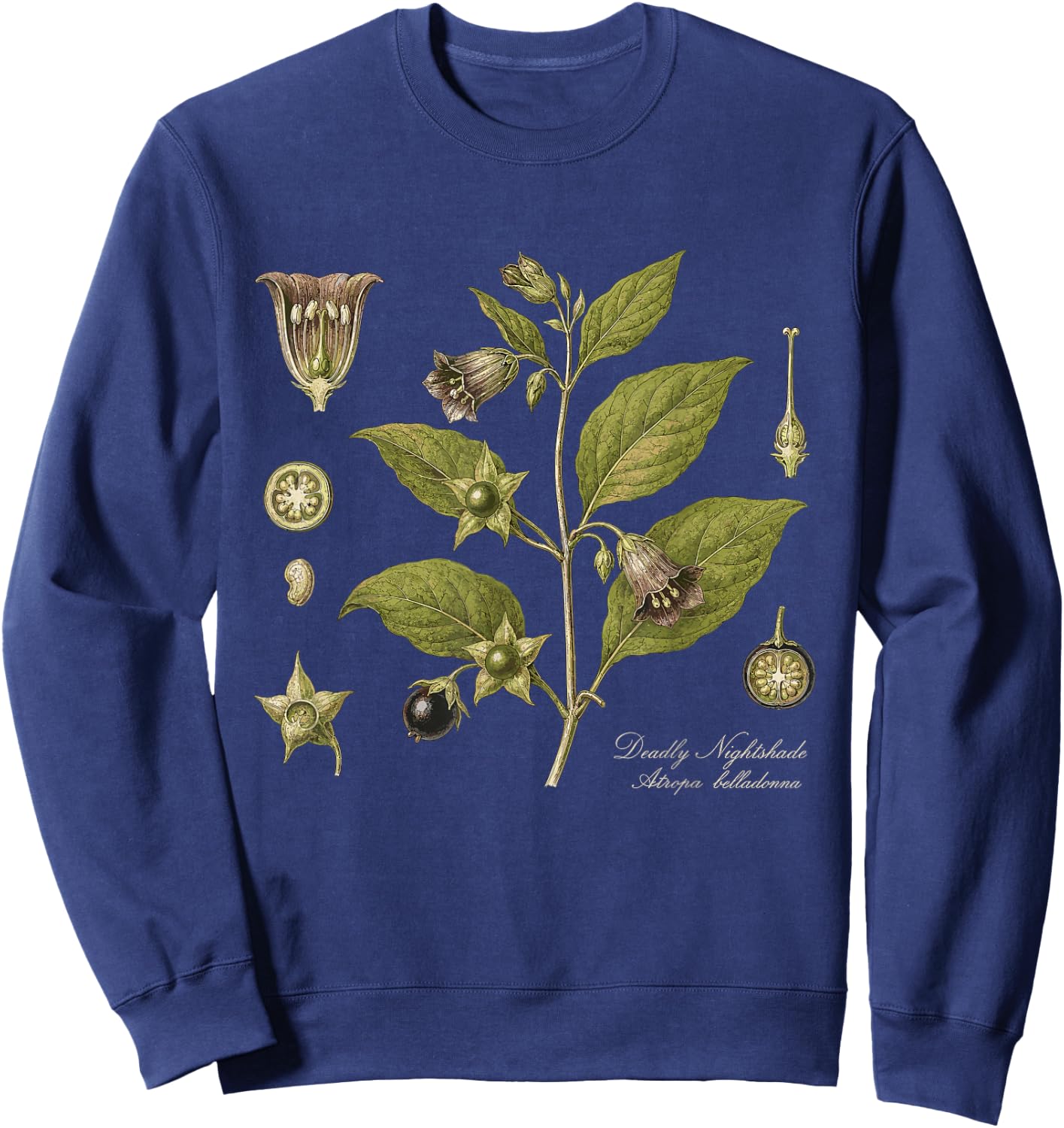 Deadly Nightshade Atropa Belladonna Vintage Botanical Sweatshirt - Sweatshirt | Navy