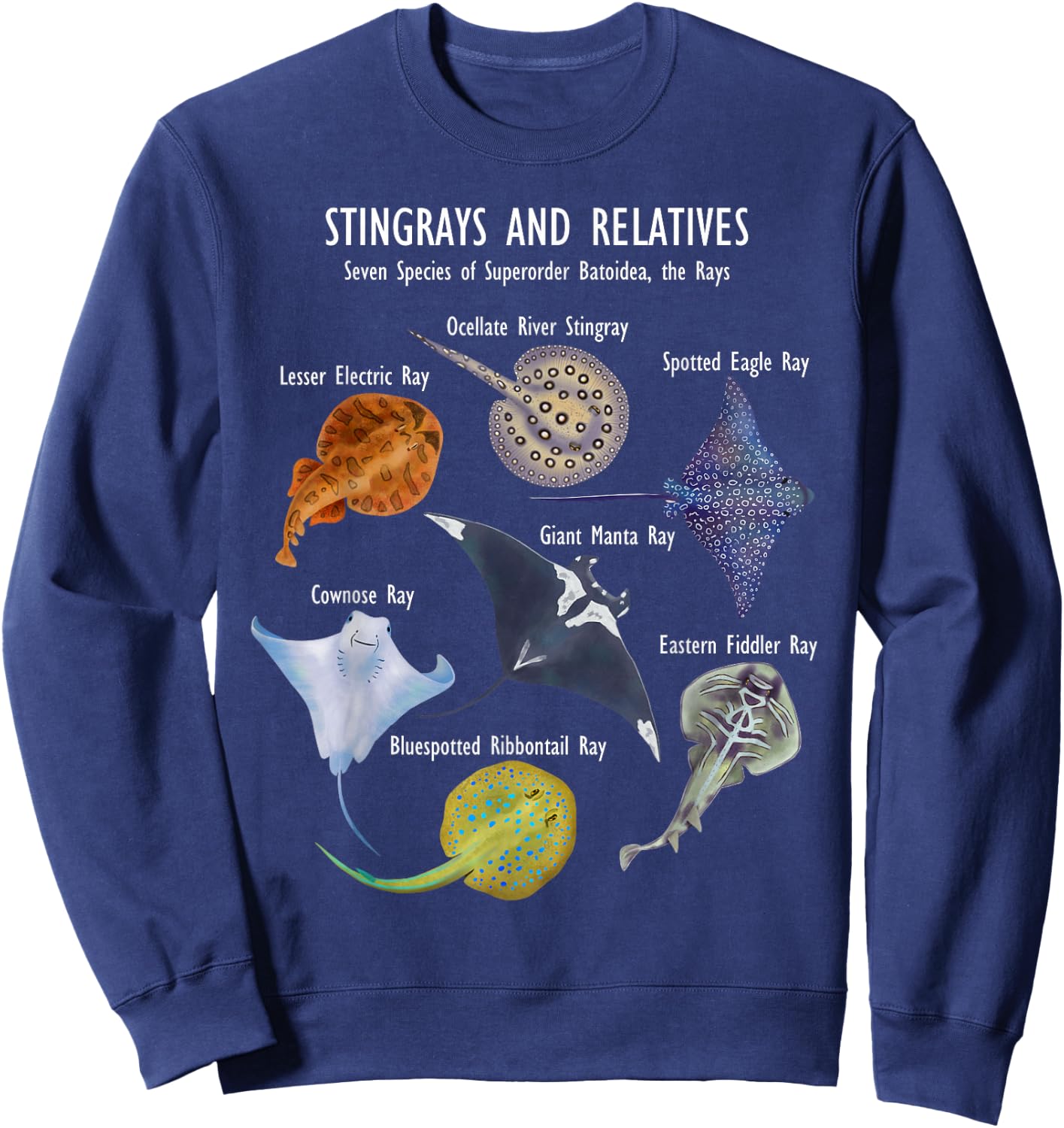 Stingray Species: Manta Ray, River Stingray, and More Sweatshirt - Sweatshirt | Navy
