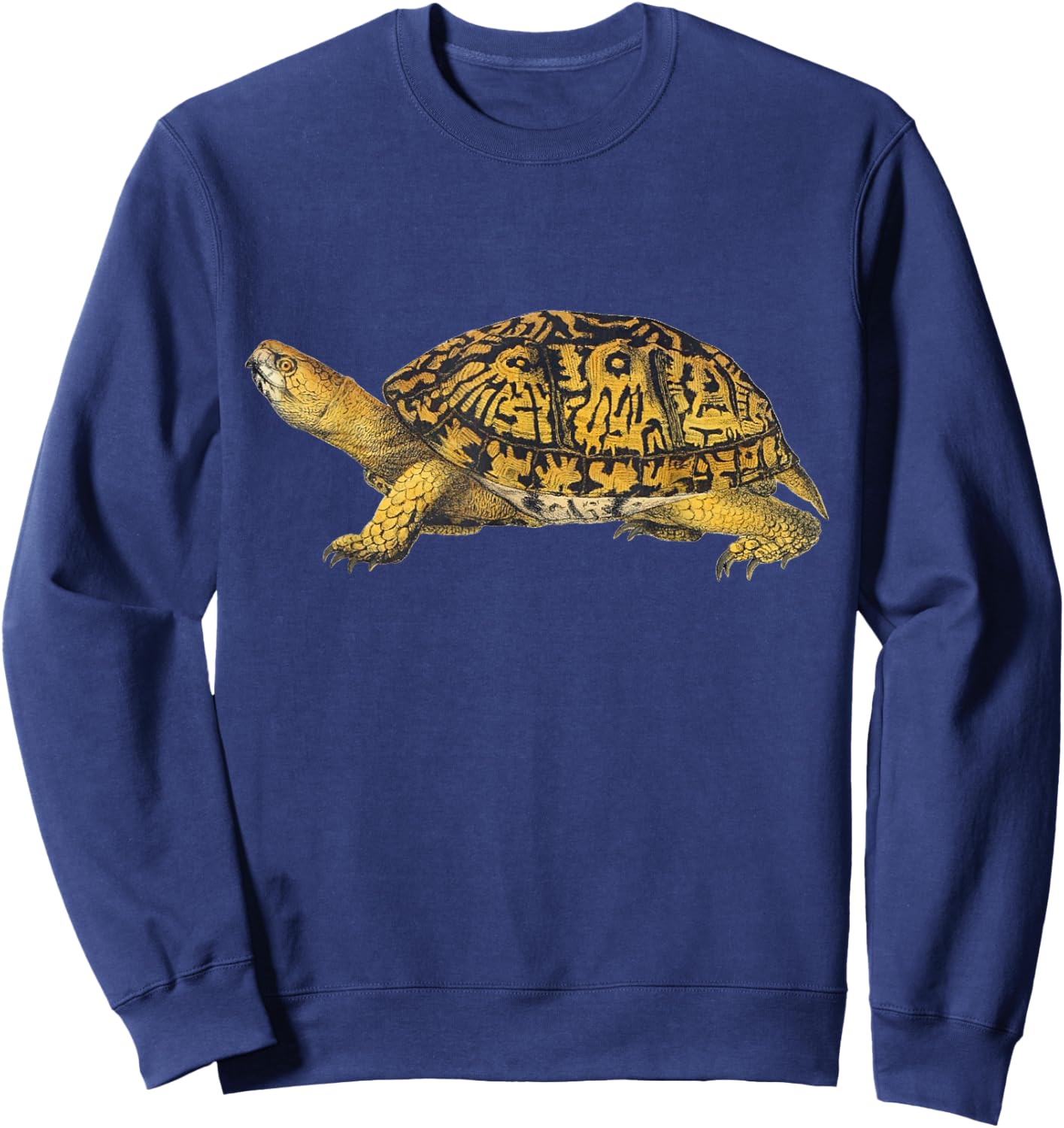 Eastern Box Turtle Sweatshirt - Sweatshirt | Navy