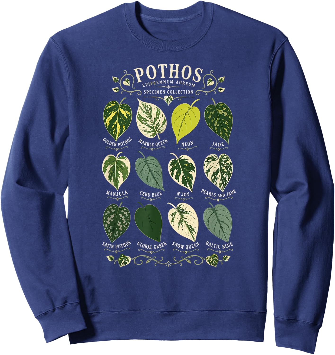 Pothos Plant Varieties Botanical Houseplant Design Sweatshirt - Sweatshirt | Navy