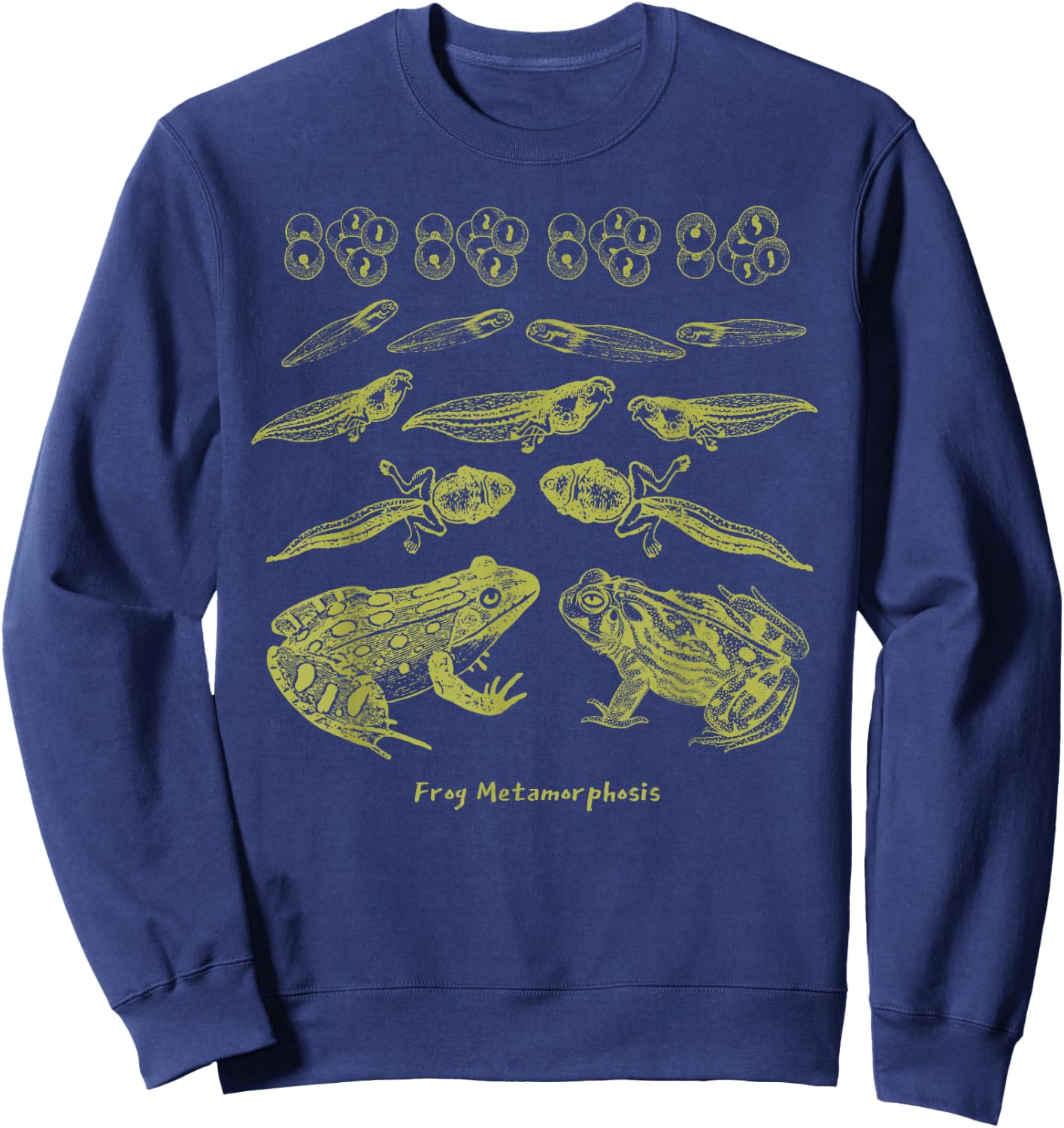 Frog Tadpole Life Cycle Biology Teacher Vintage Science Sweatshirt - Sweatshirt | Navy