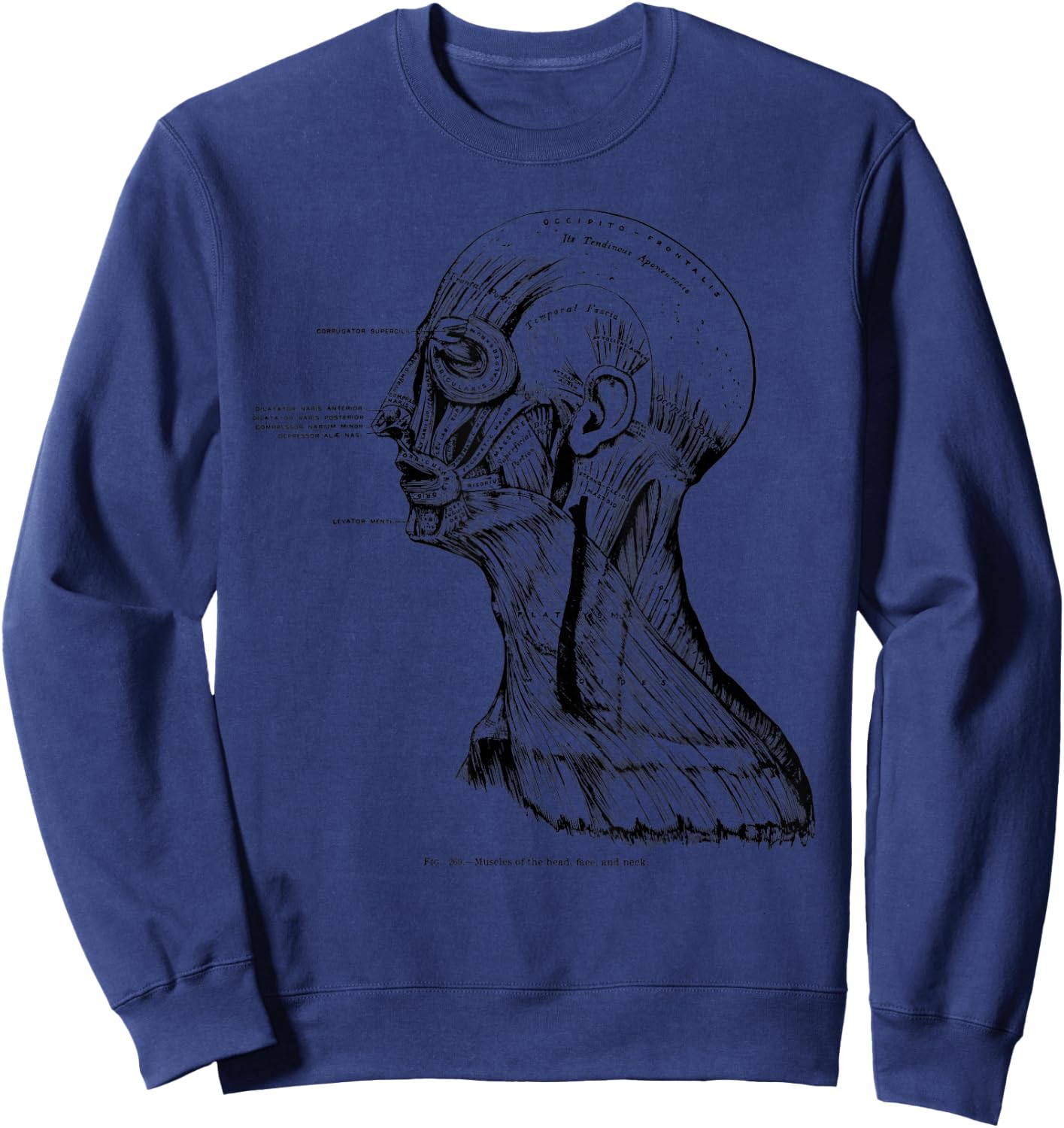 Vintage Anatomy Myology Facial and Neck Muscles Sweatshirt - Sweatshirt | Navy