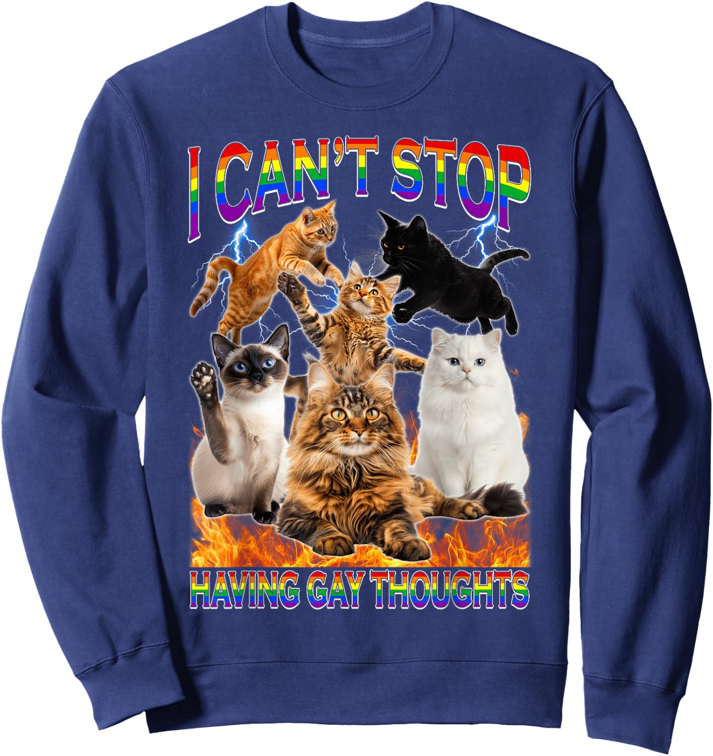 I Can't Stop Having Gay Thoughts Funny Cat LGBTQ Pride Month Sweatshirt - Sweatshirt | Navy
