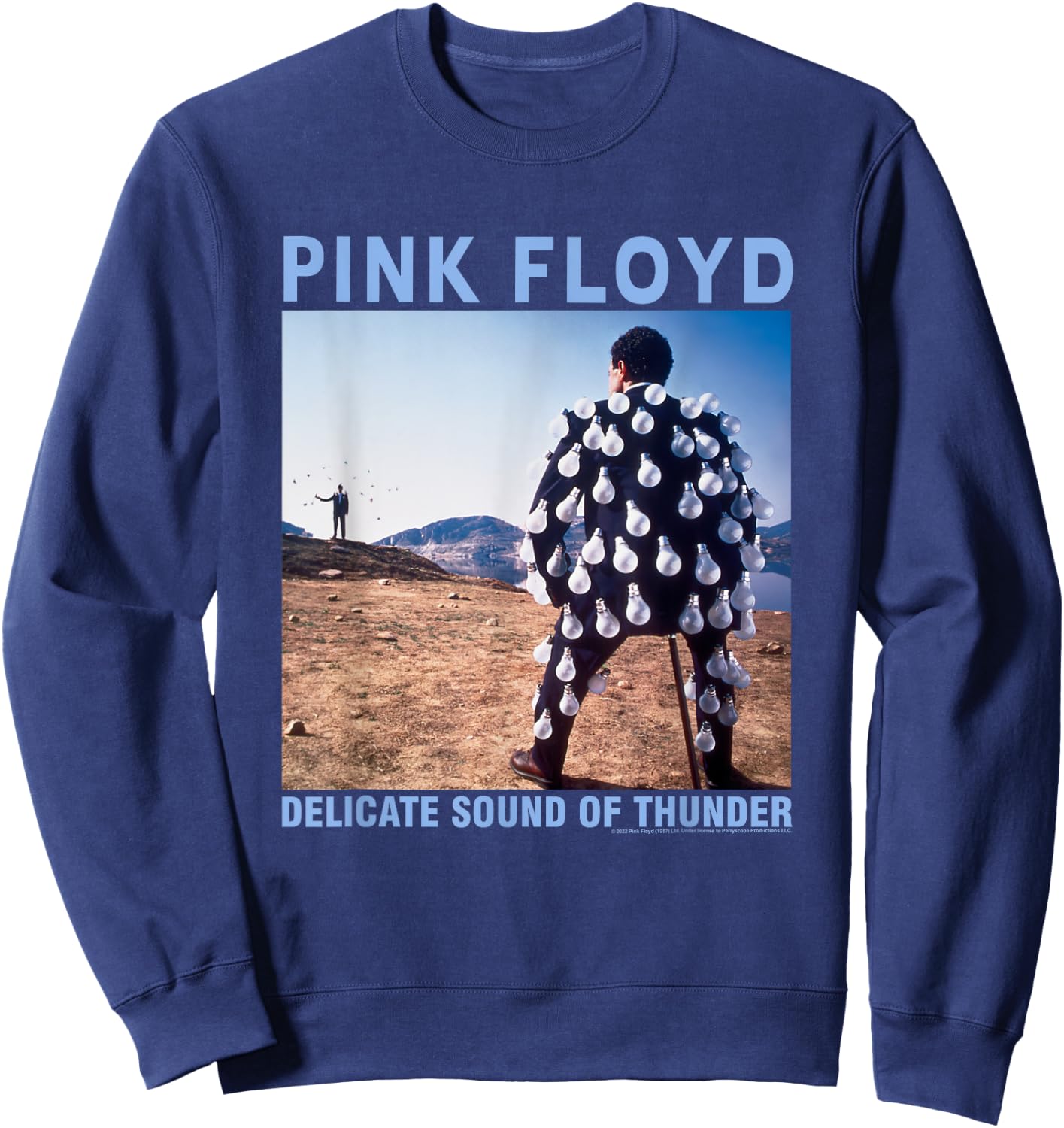 Pink Floyd Delicate Sound Sweatshirt - Sweatshirt | Navy