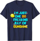 I'm One Big Freaking Ray Of Sunshine T-Shirt - T-Shirt | Navy