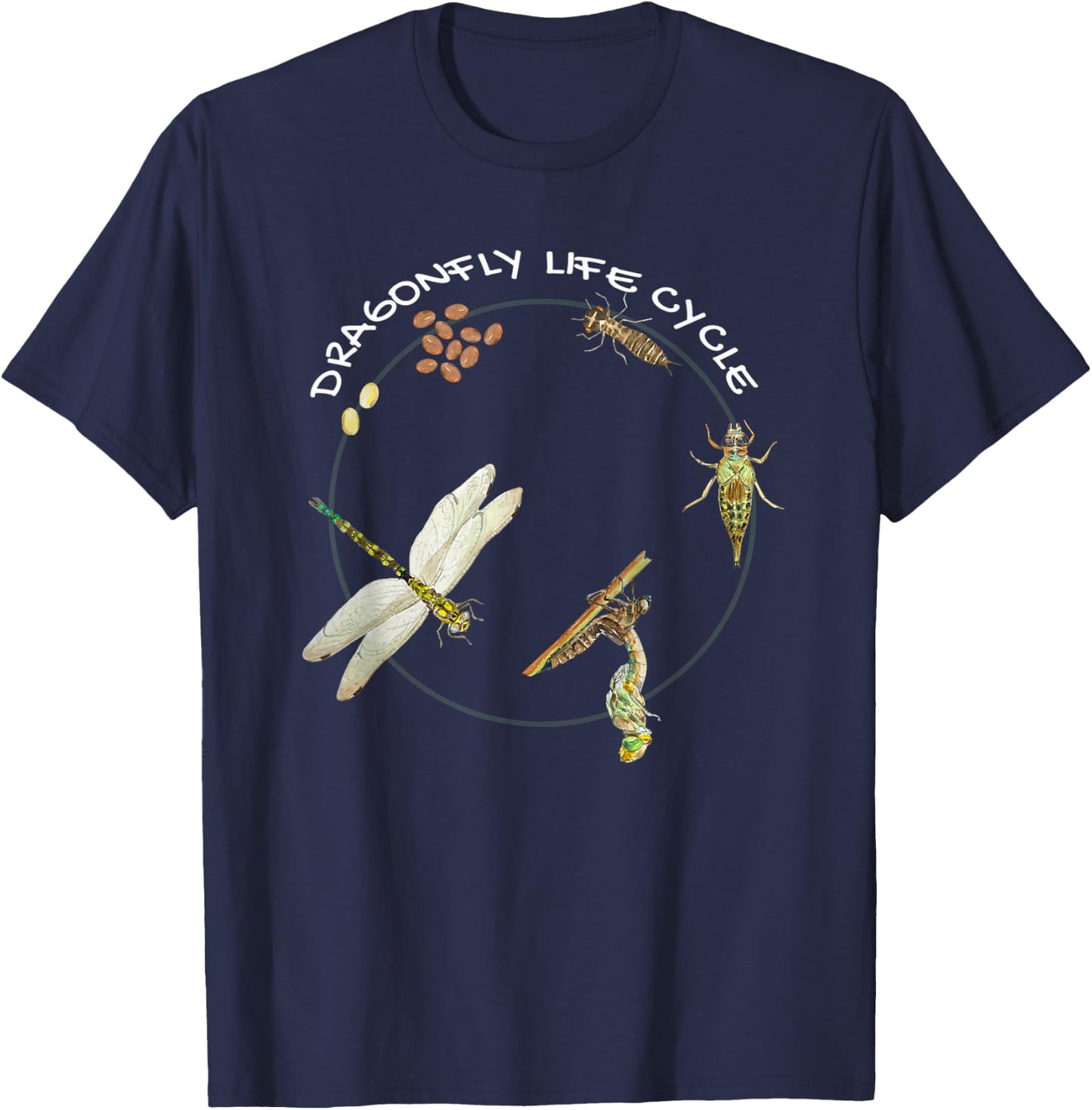 Dragonfly Life Cycle Facts 3 Stages Insect Development T-Shirt - T-Shirt | Navy
