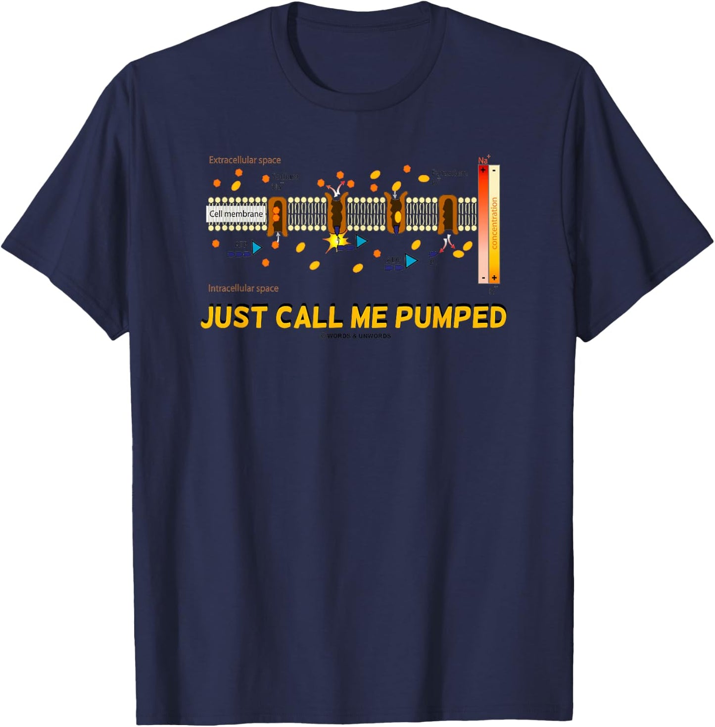 Just Call Me Pumped Sodium-Potassium Pump Active Transport T-Shirt - T-Shirt | Navy